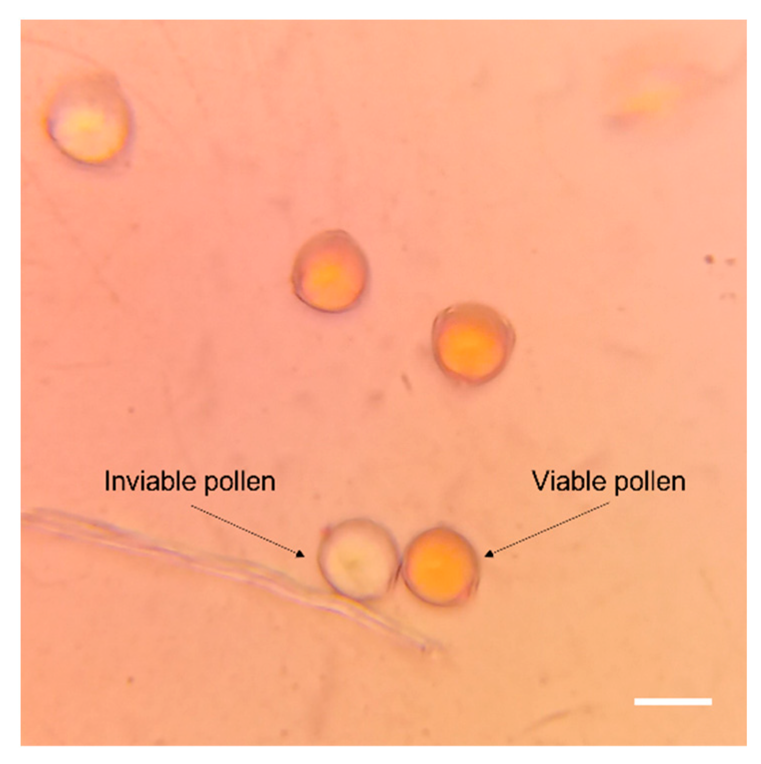 Preprints 89443 g002