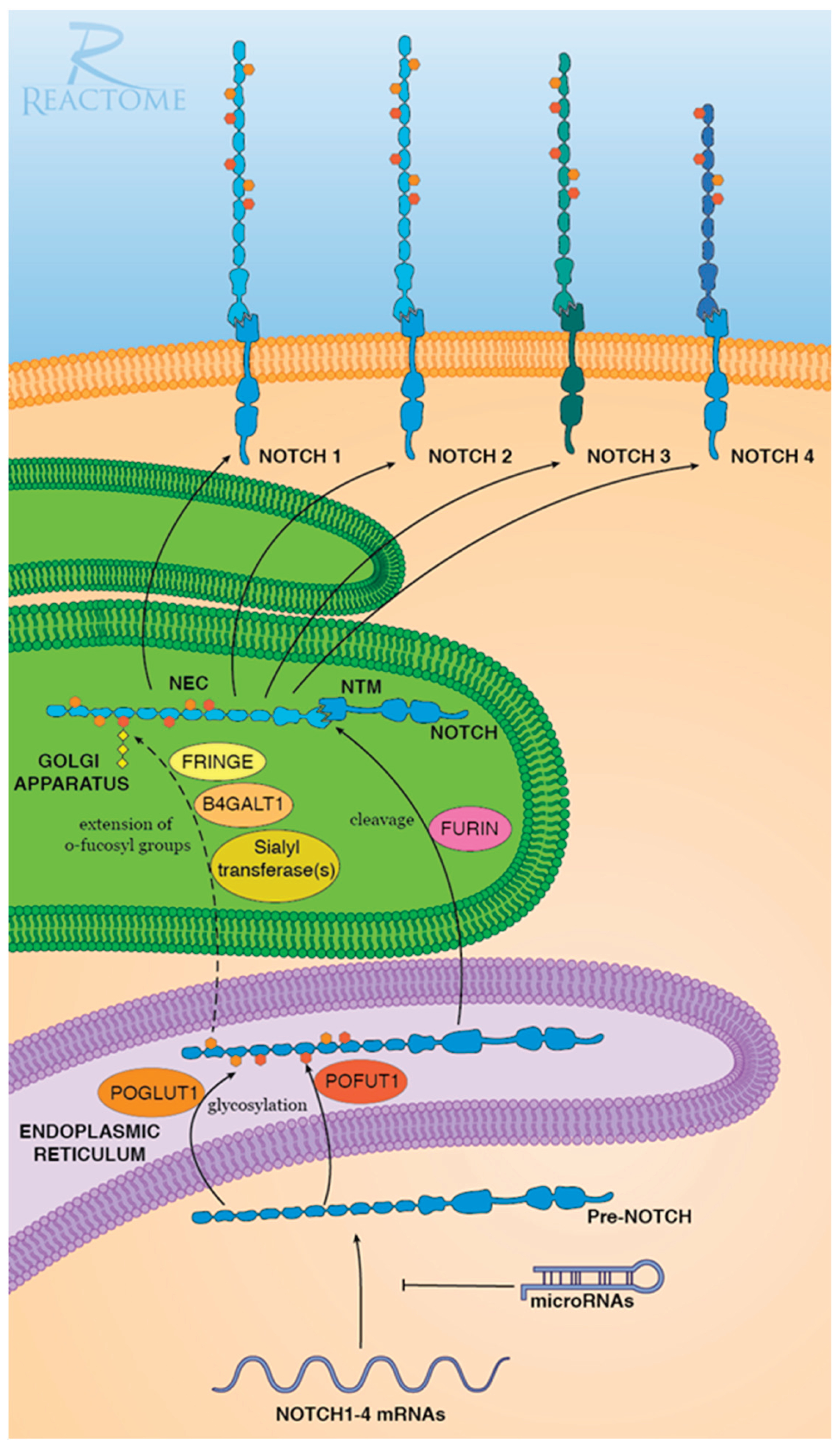 Preprints 180004 g001