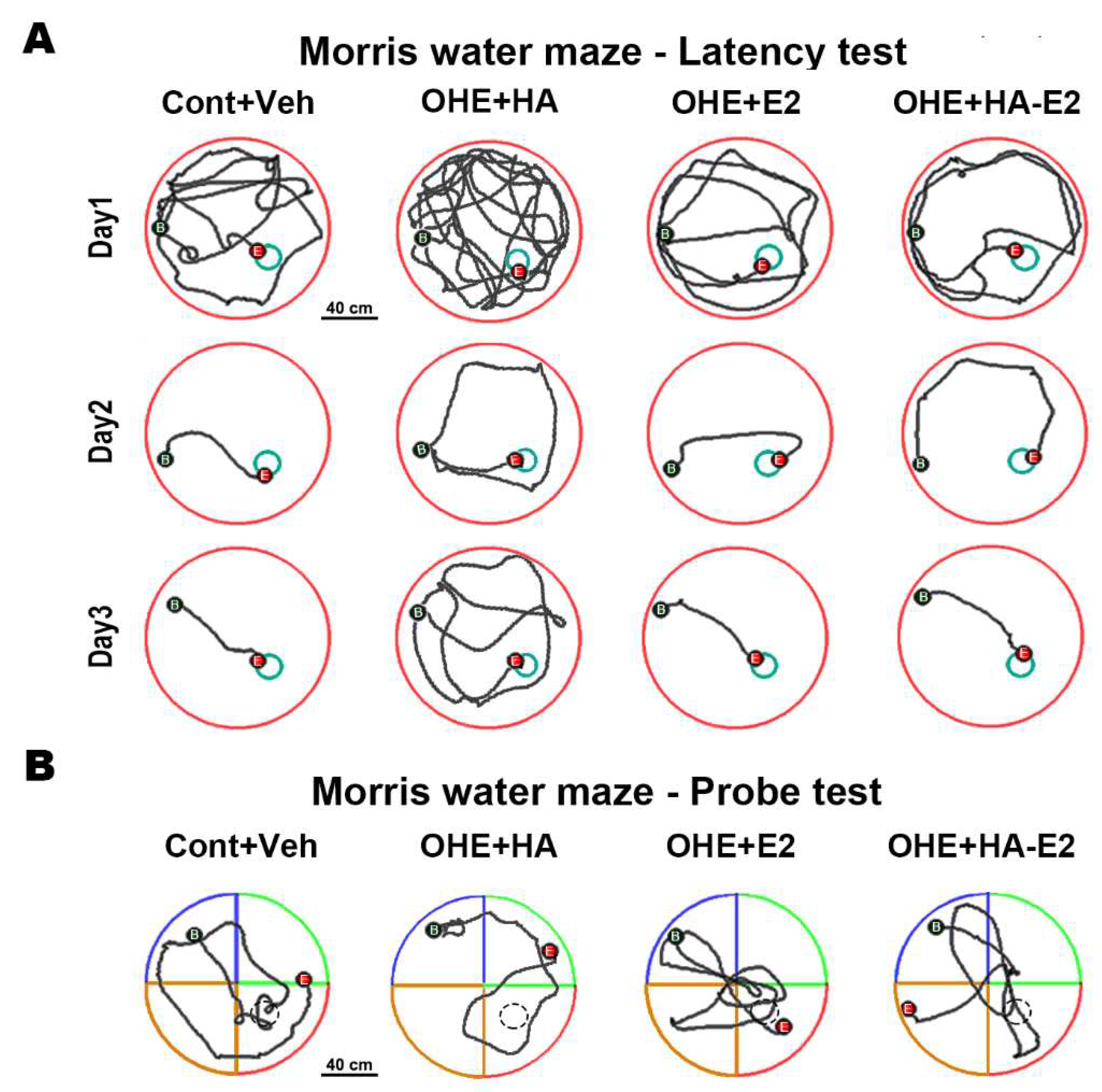 Preprints 86706 g004