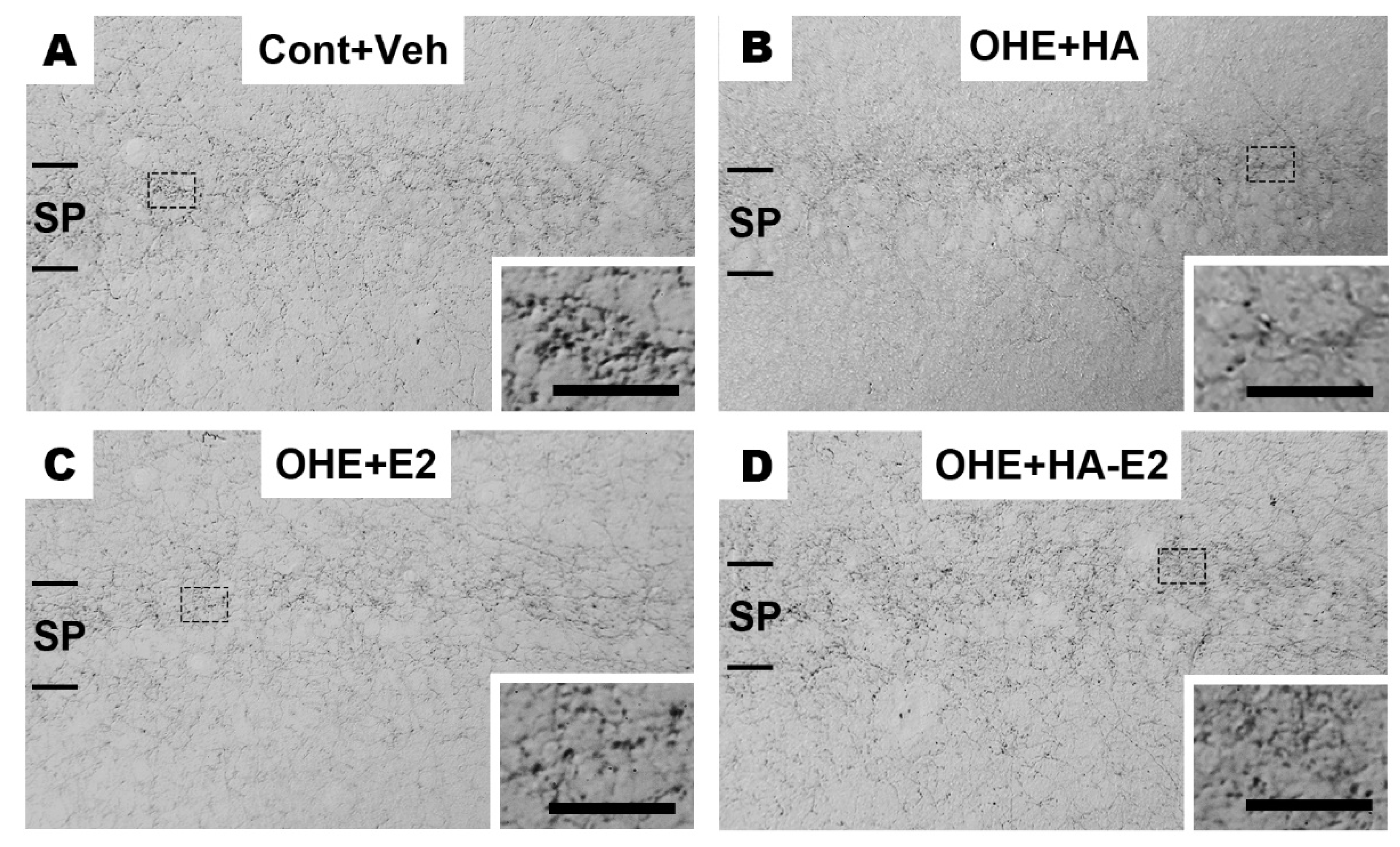 Preprints 86706 g005