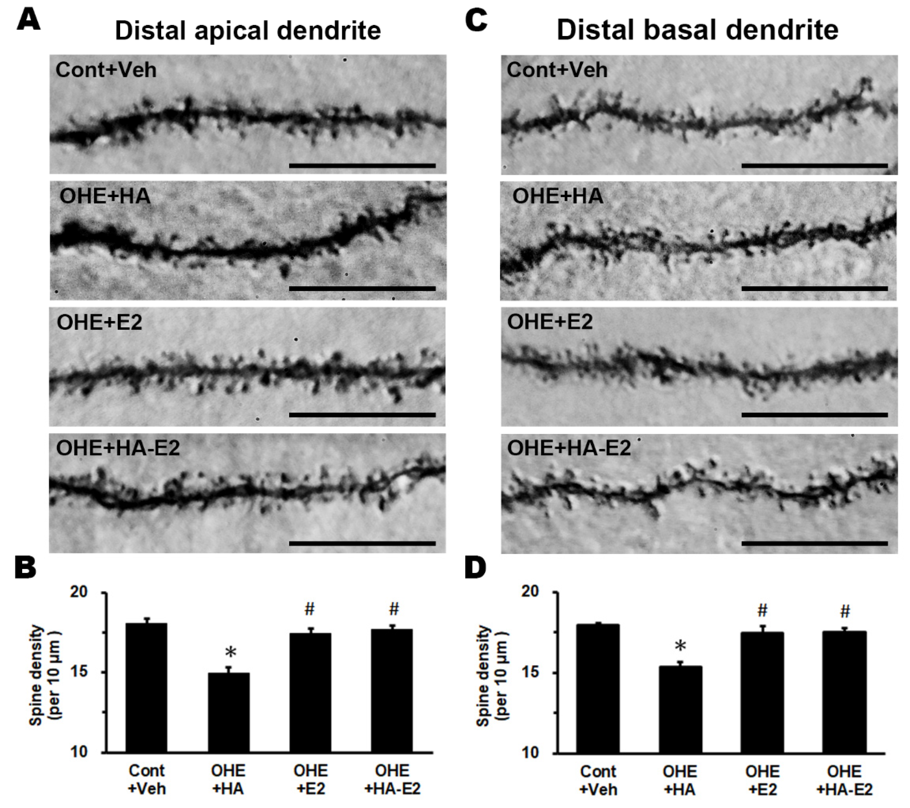 Preprints 86706 g007