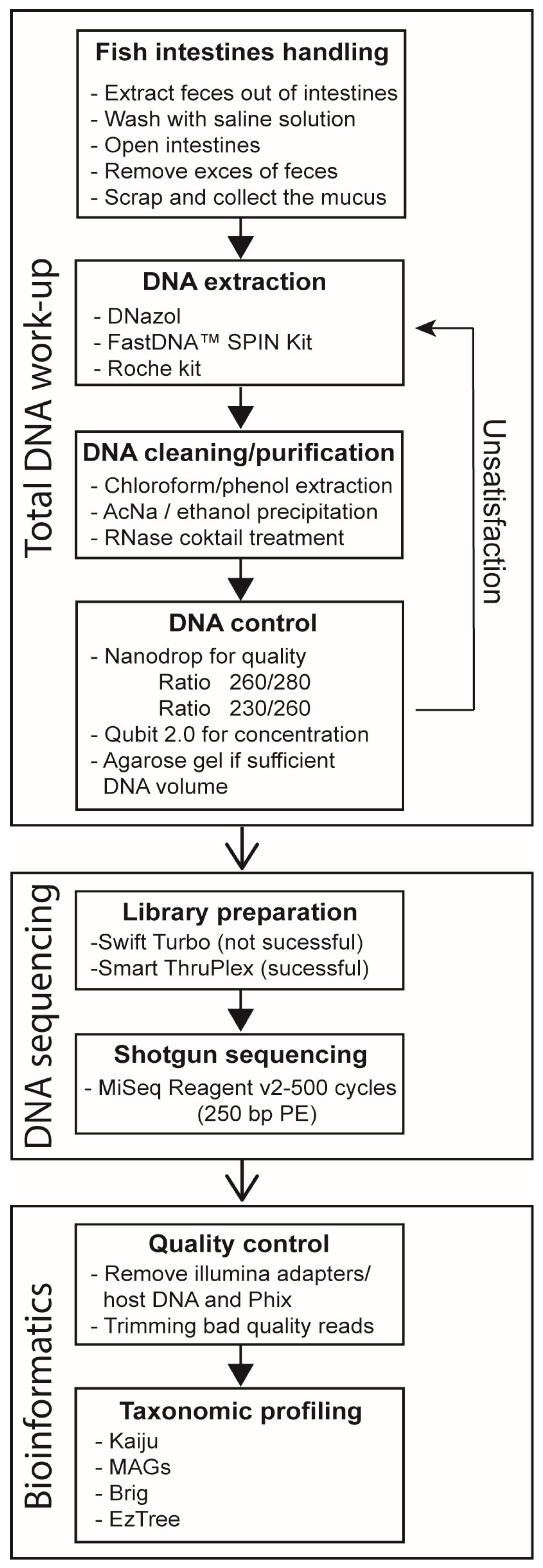 Preprints 119194 g002