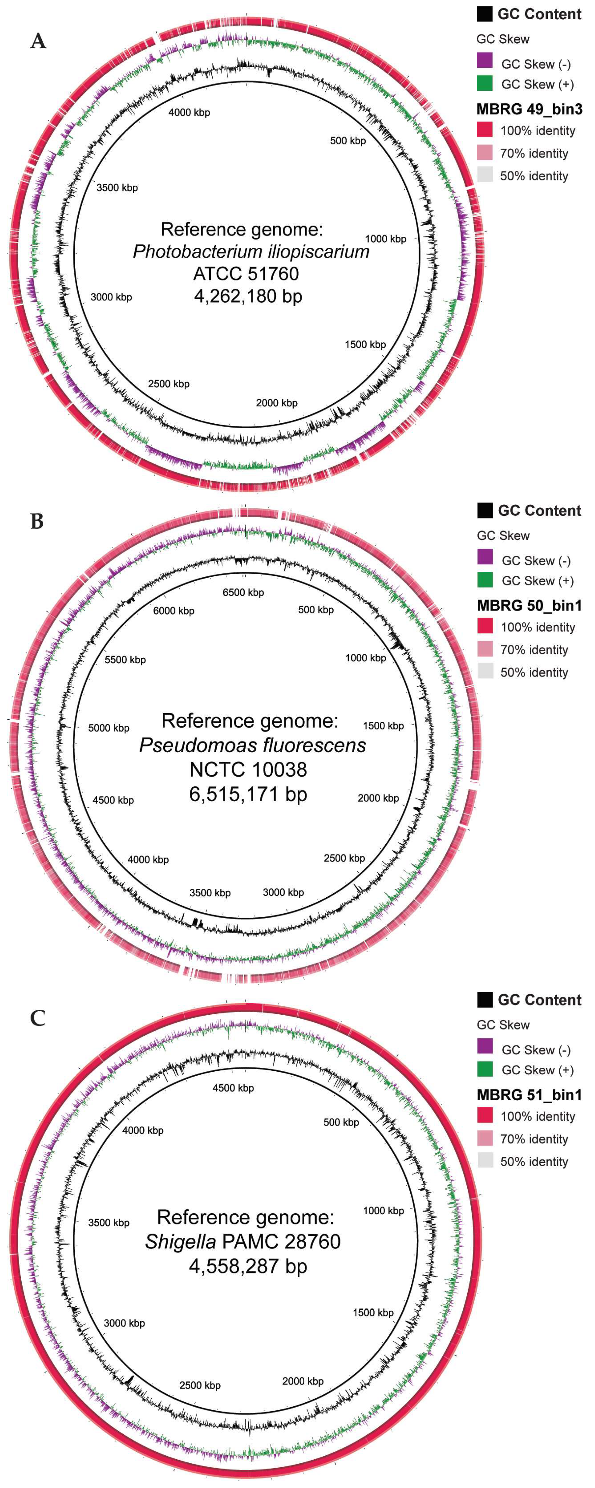 Preprints 119194 g004