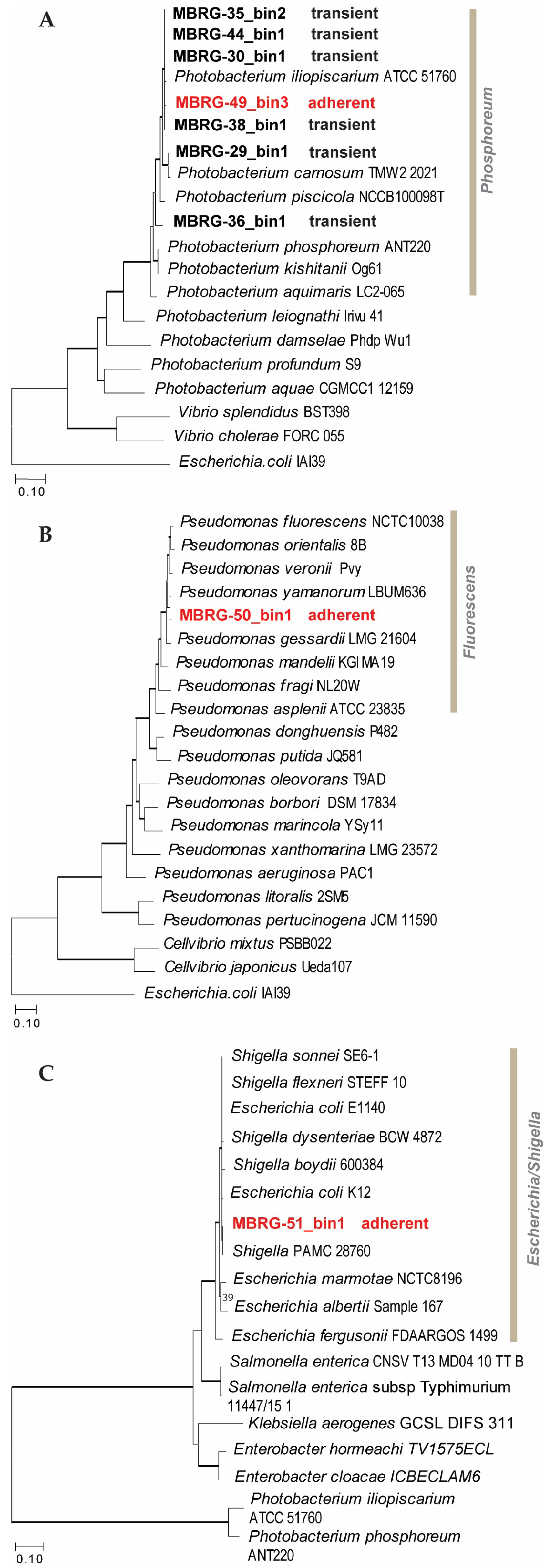 Preprints 119194 g005