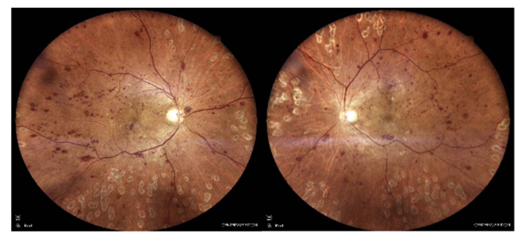 Preprints 145374 g001