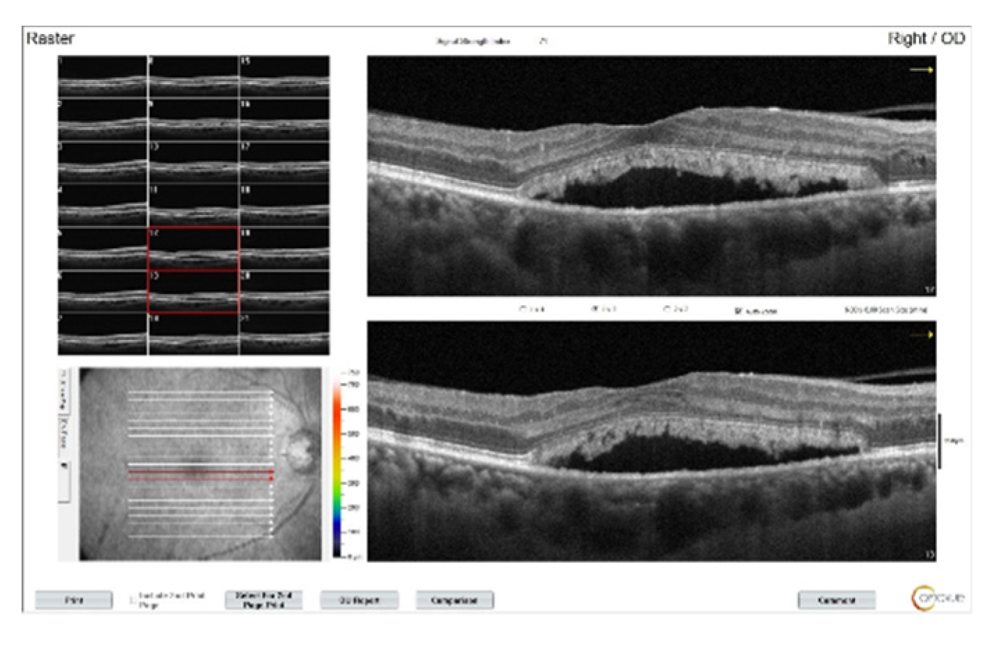 Preprints 145374 g003