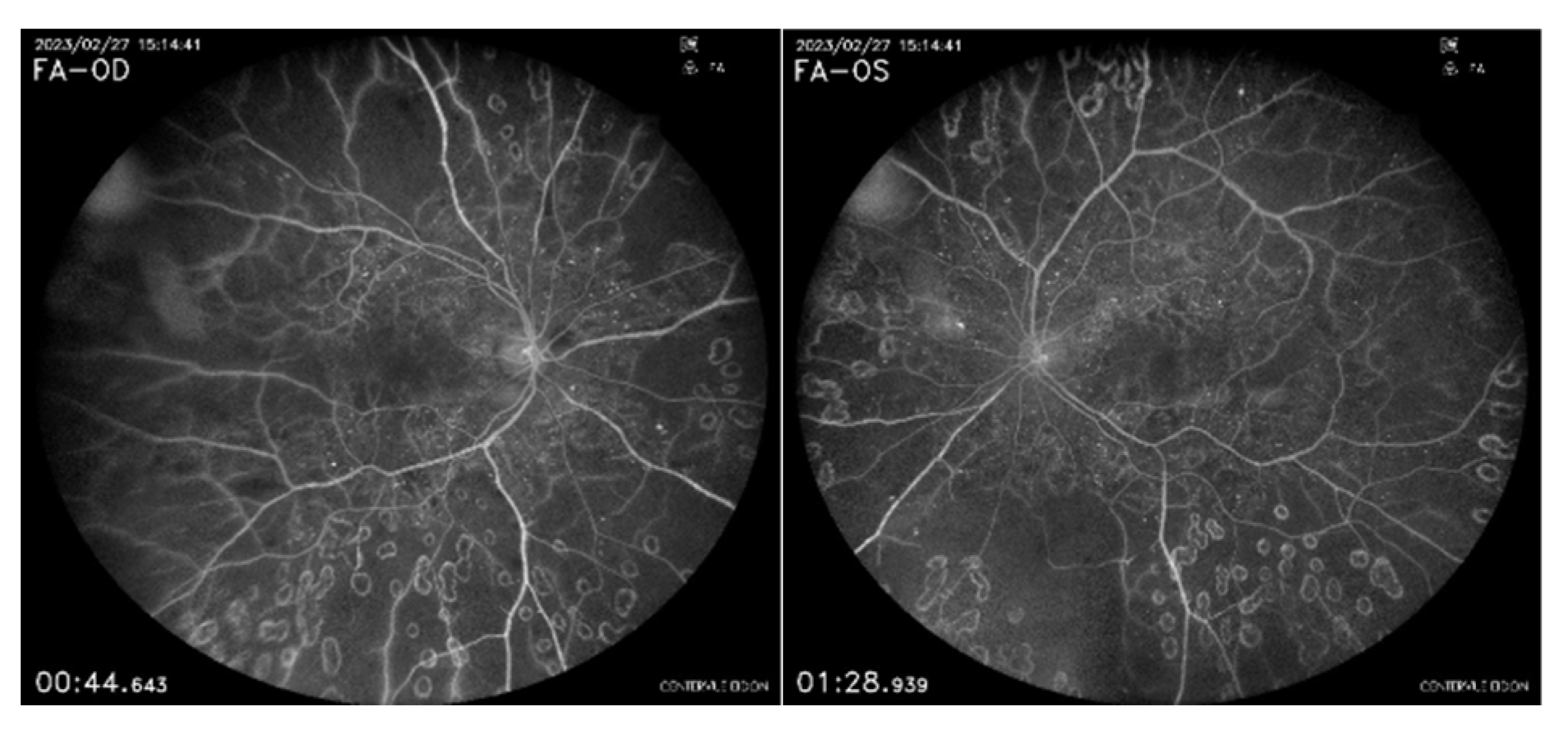 Preprints 145374 g004