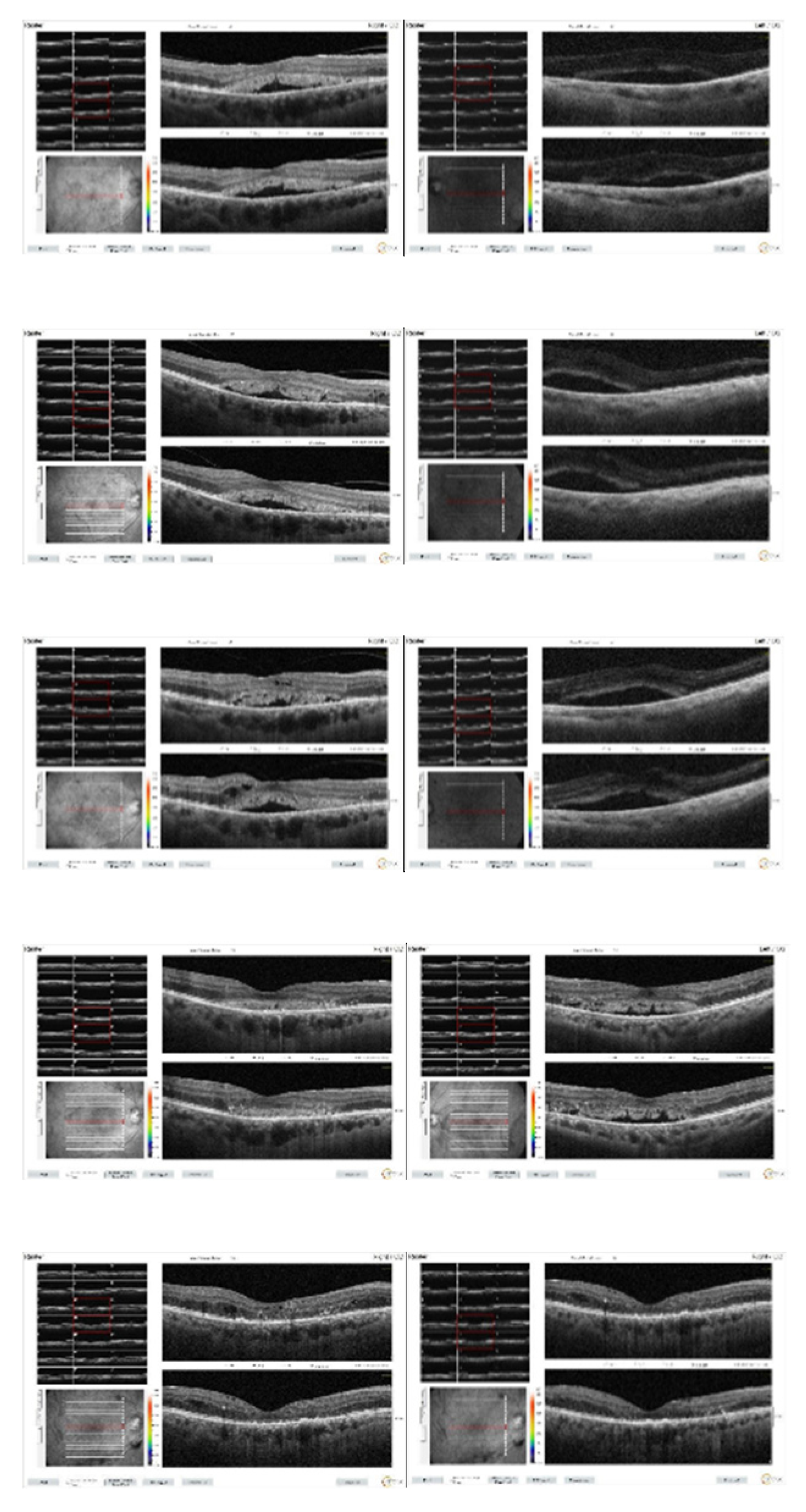 Preprints 145374 g005
