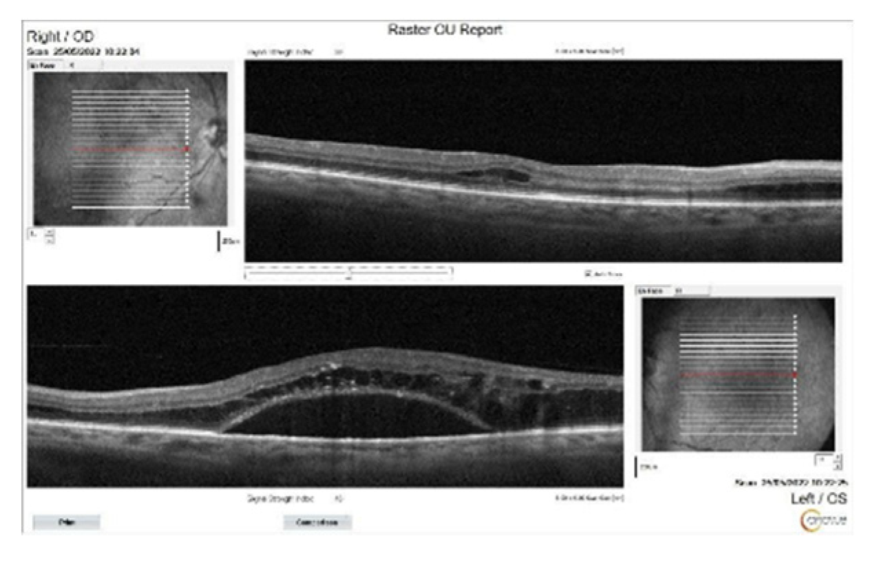 Preprints 145374 g006