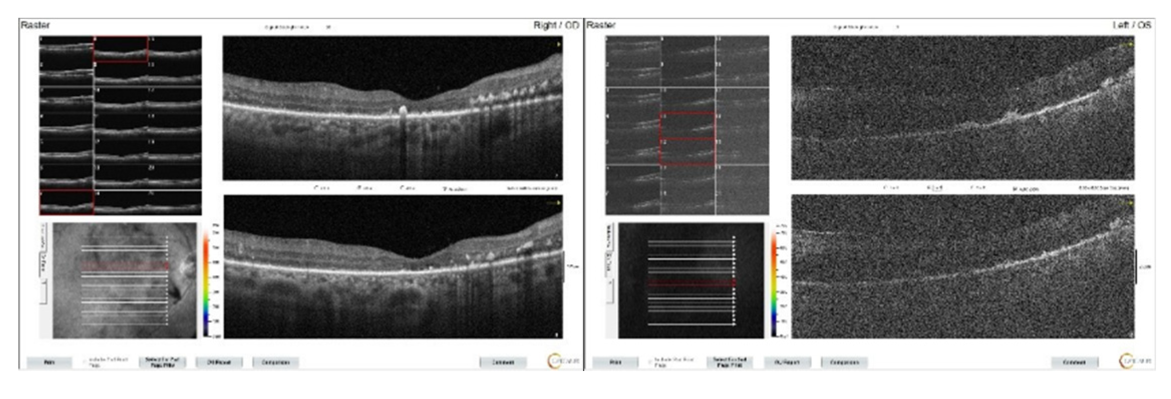Preprints 145374 g009