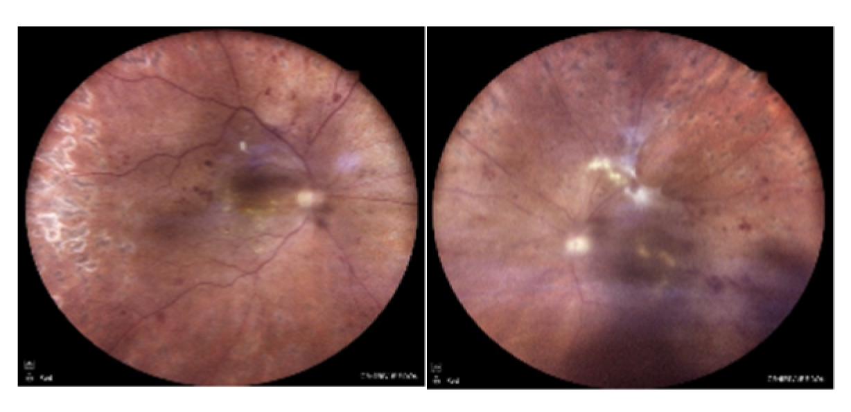 Preprints 145374 g010