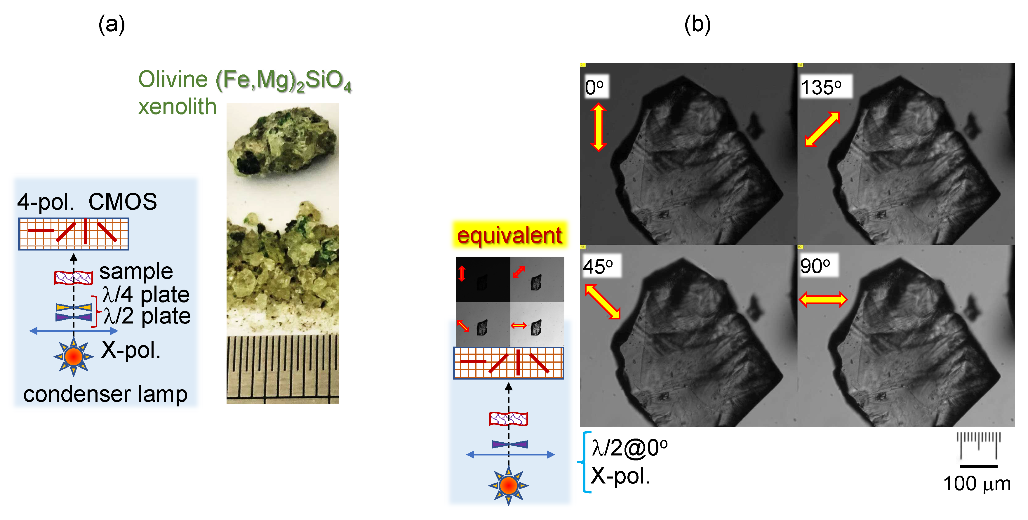 Preprints 82460 g001