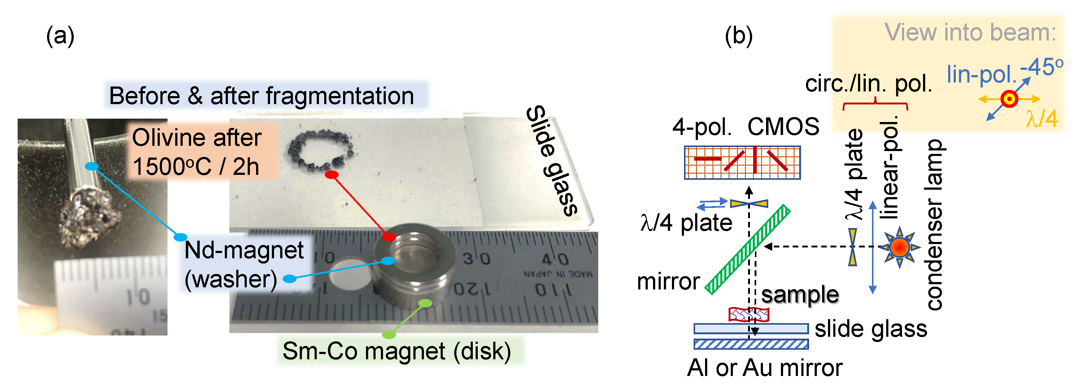 Preprints 82460 g006