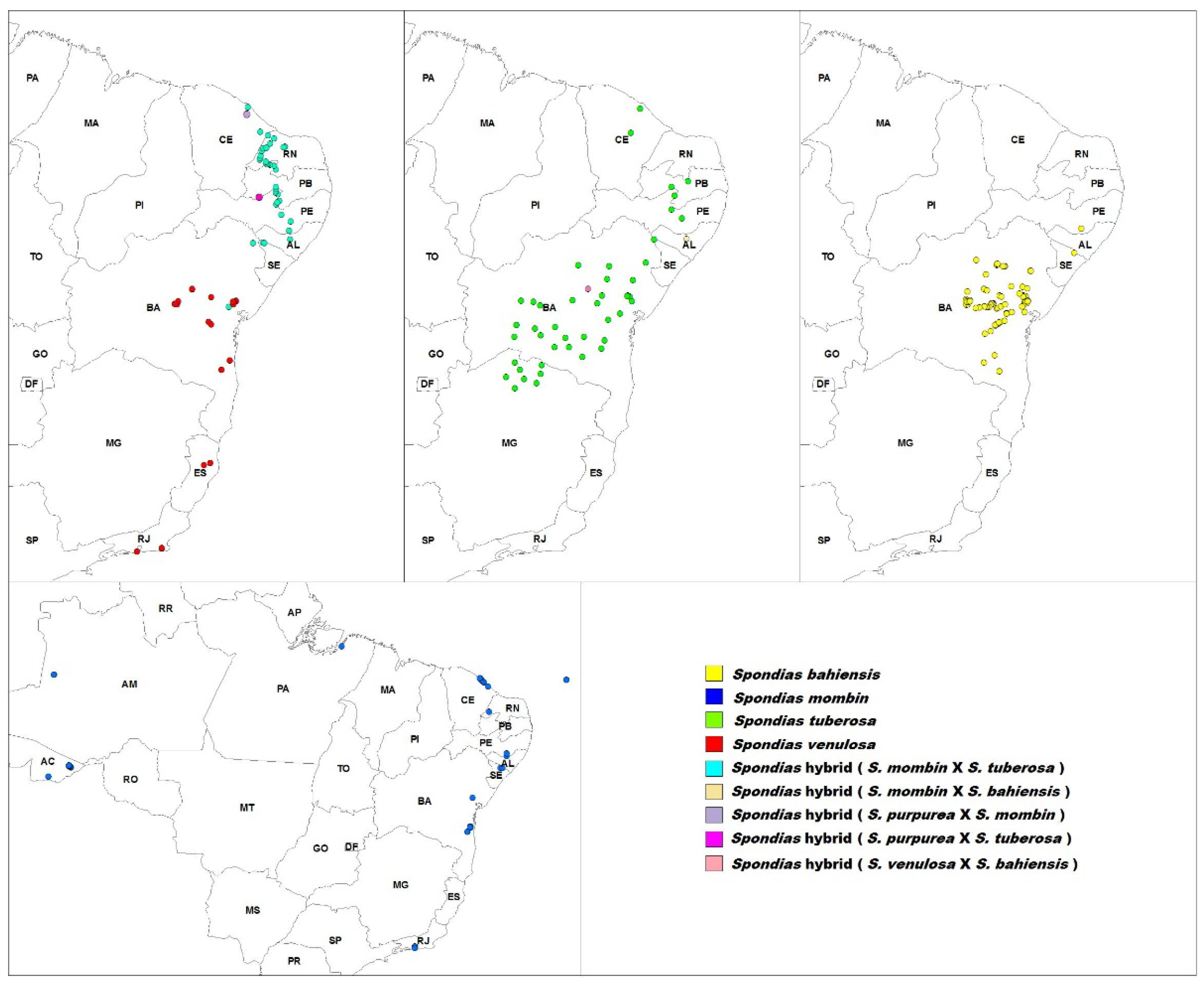 Preprints 189942 g001