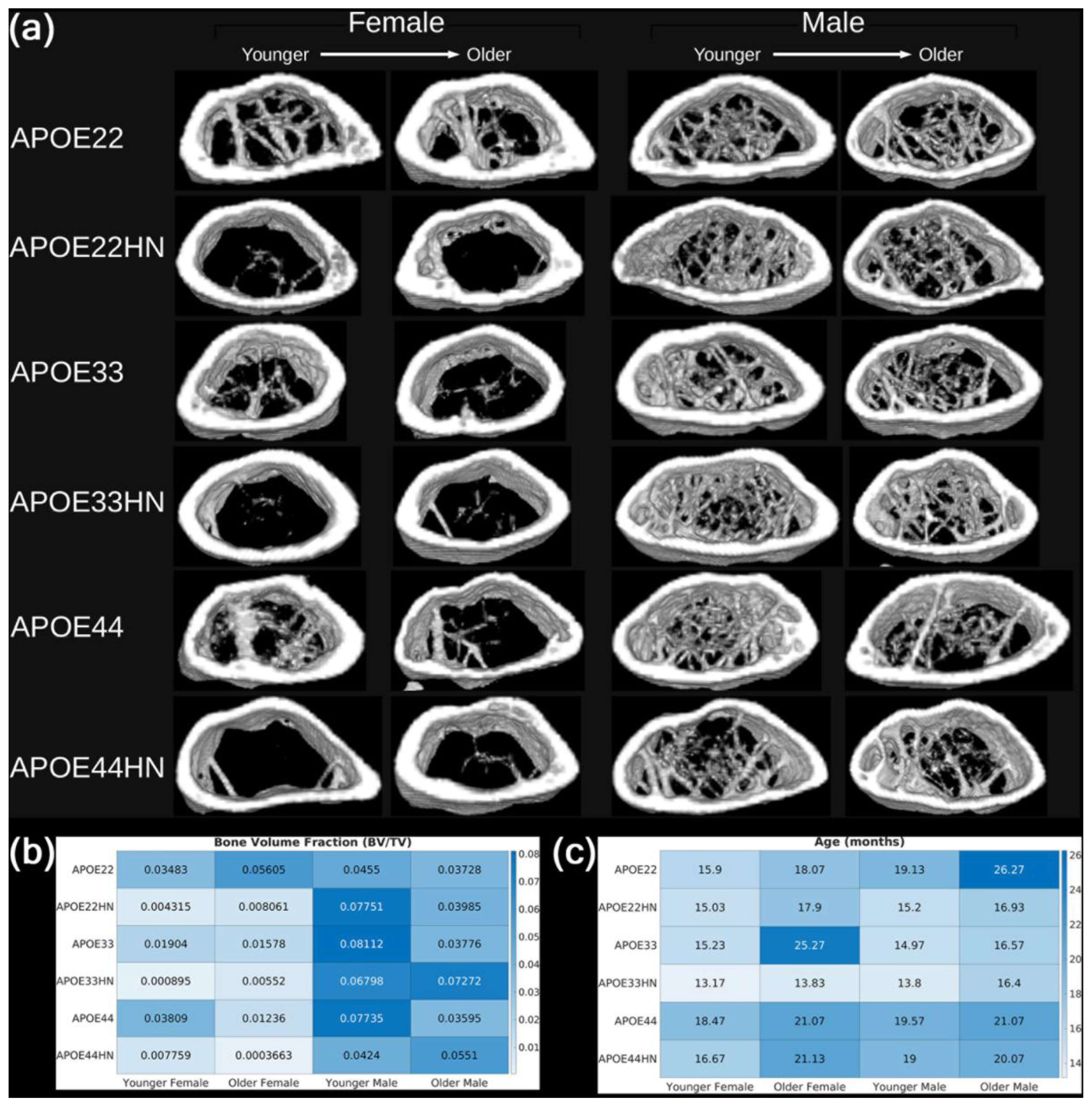 Preprints 176594 g009