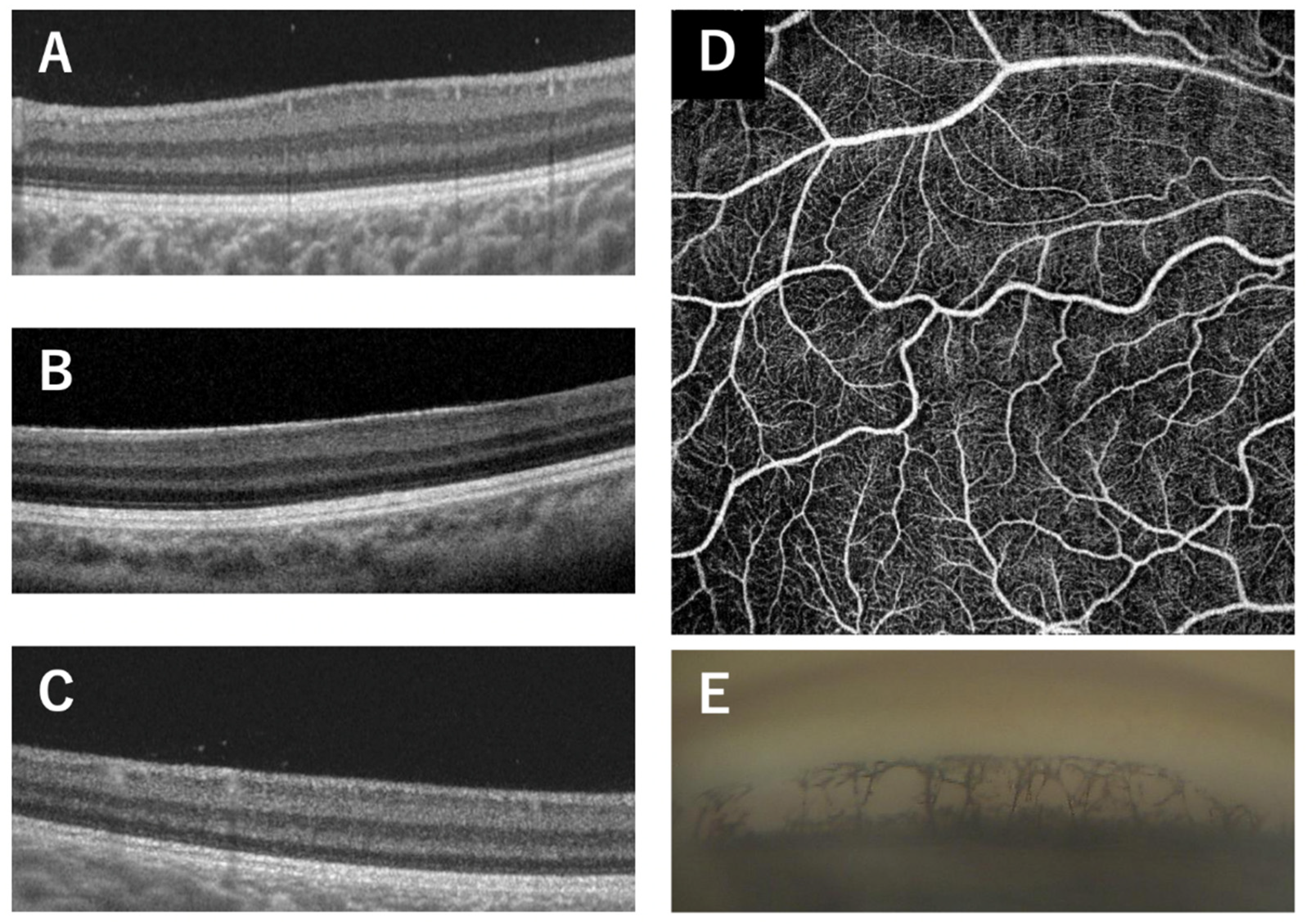 Preprints 77587 g001
