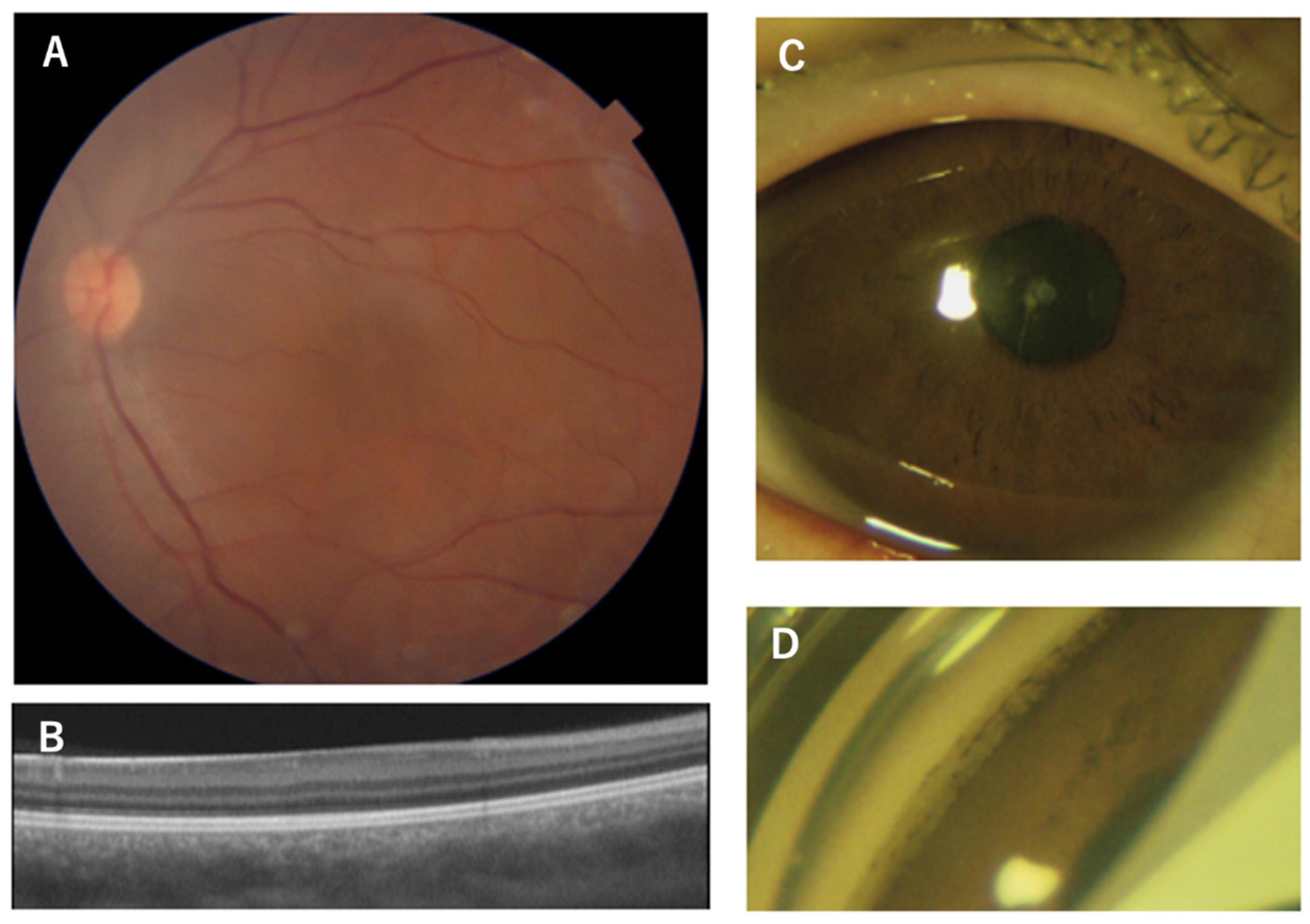 Preprints 77587 g002