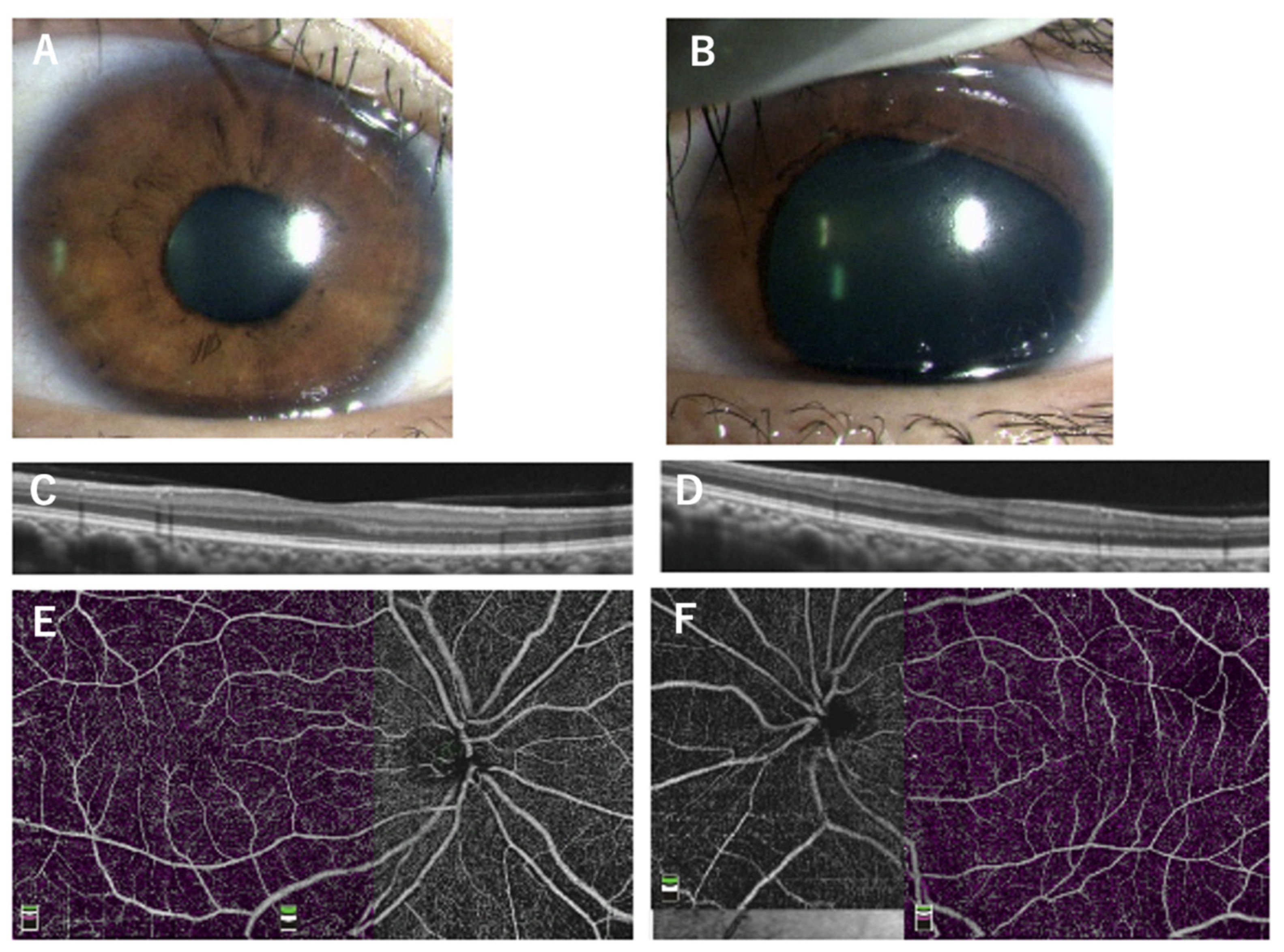 Preprints 77587 g003