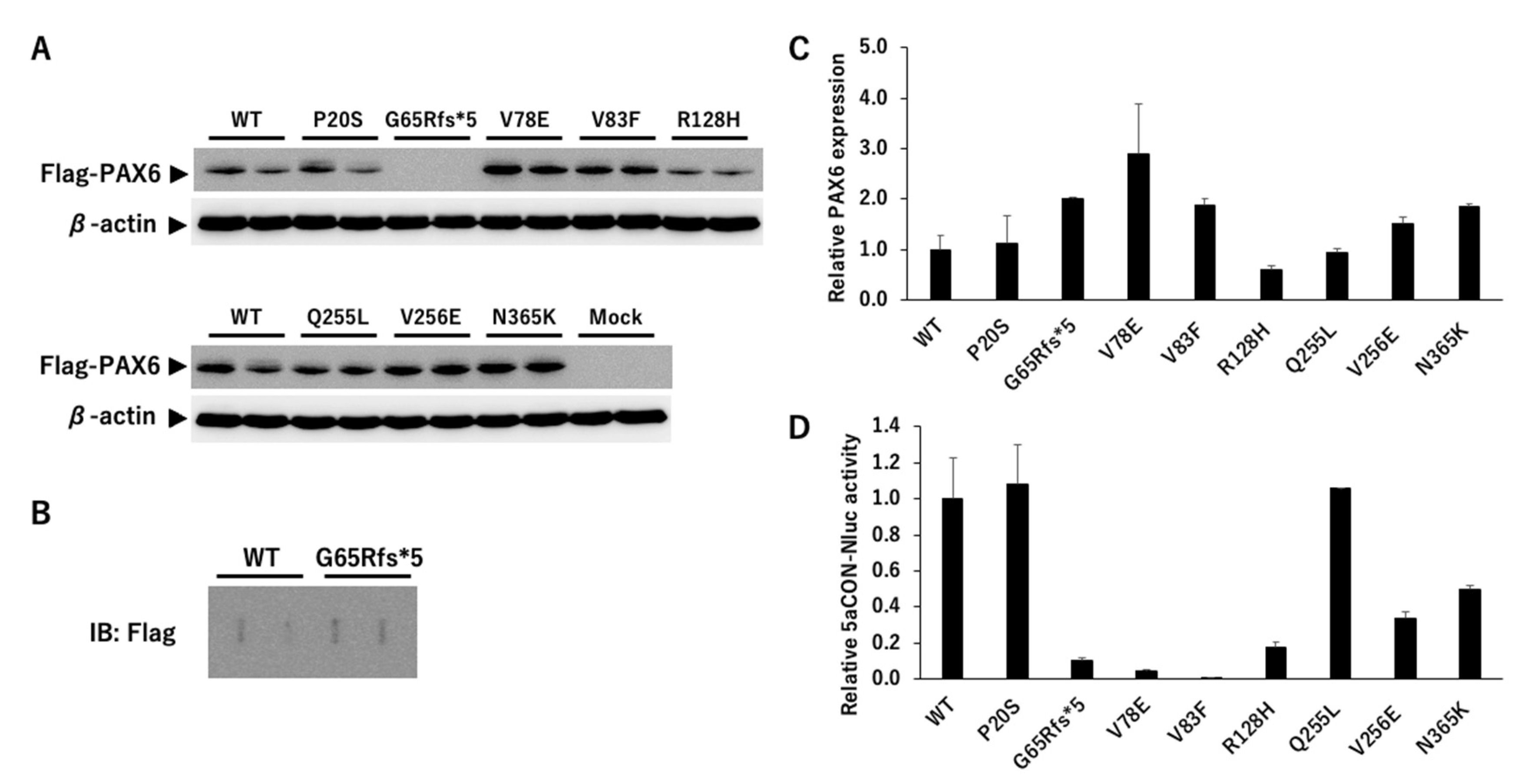 Preprints 77587 g005
