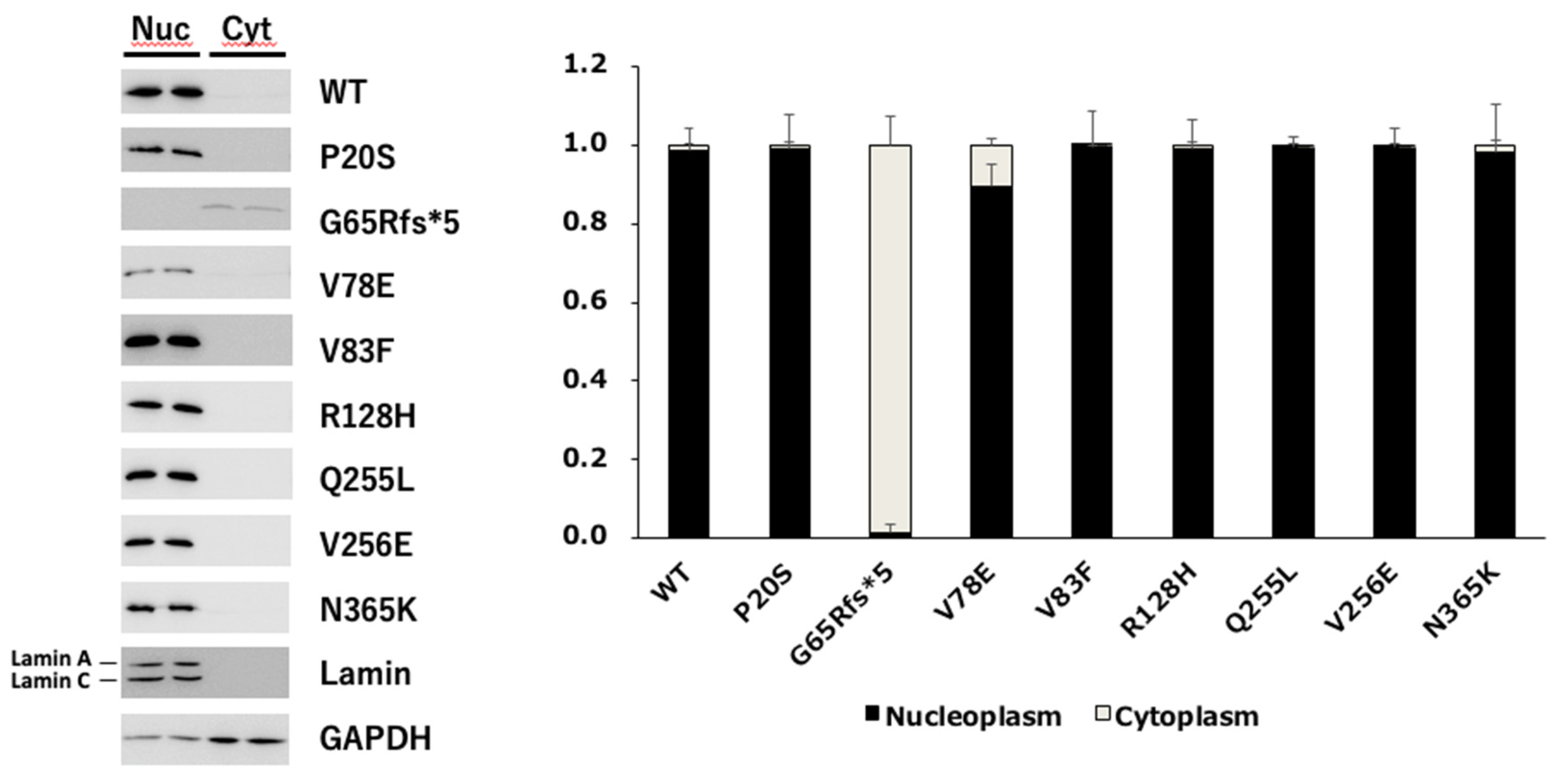 Preprints 77587 g006
