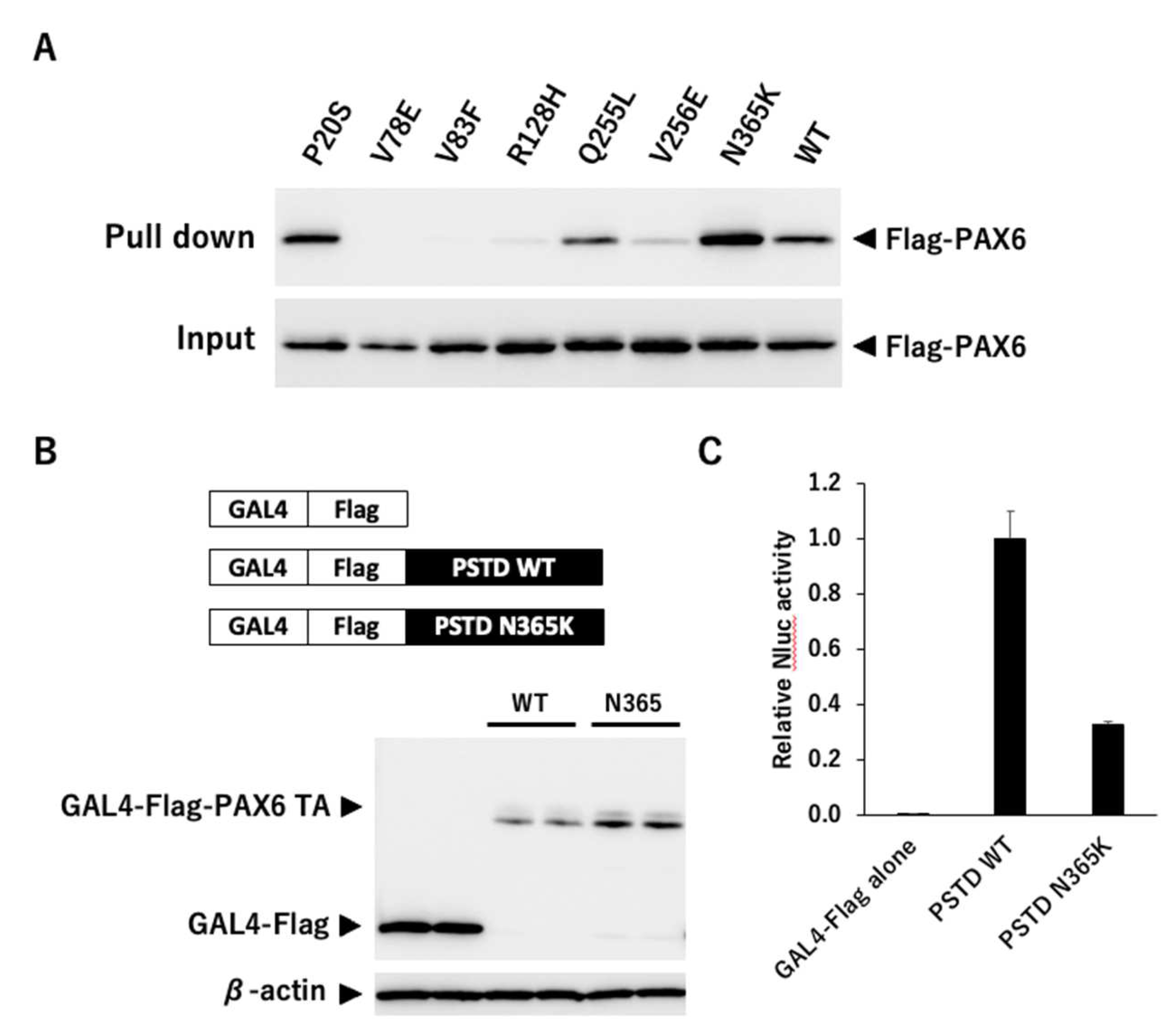 Preprints 77587 g007