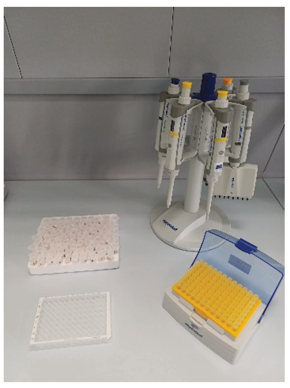 Preprints 179824 g001