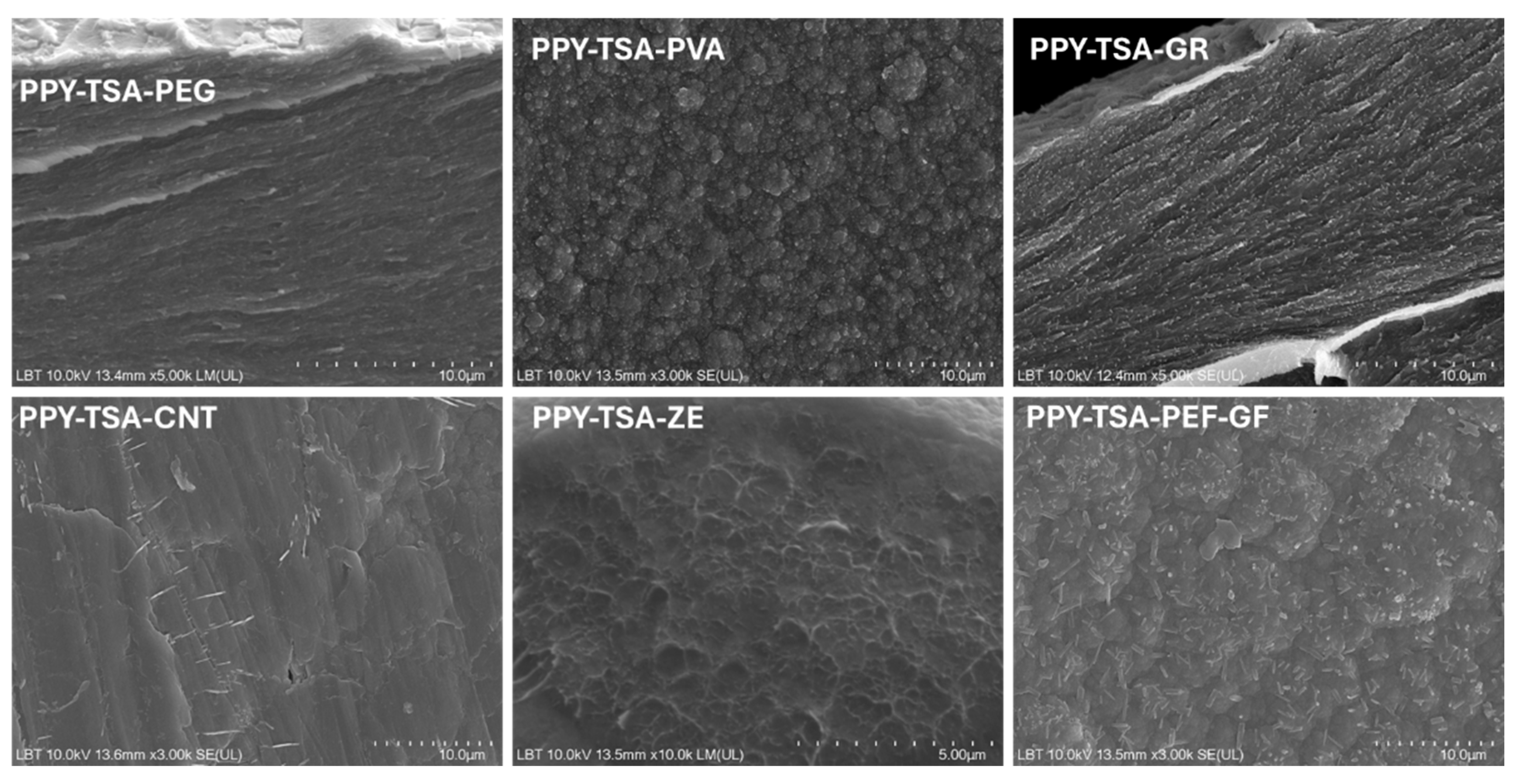 Preprints 203581 g003