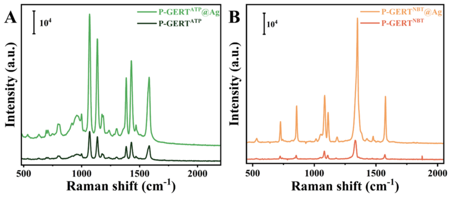 Preprints 227903 g004 Preprints 227903 g004