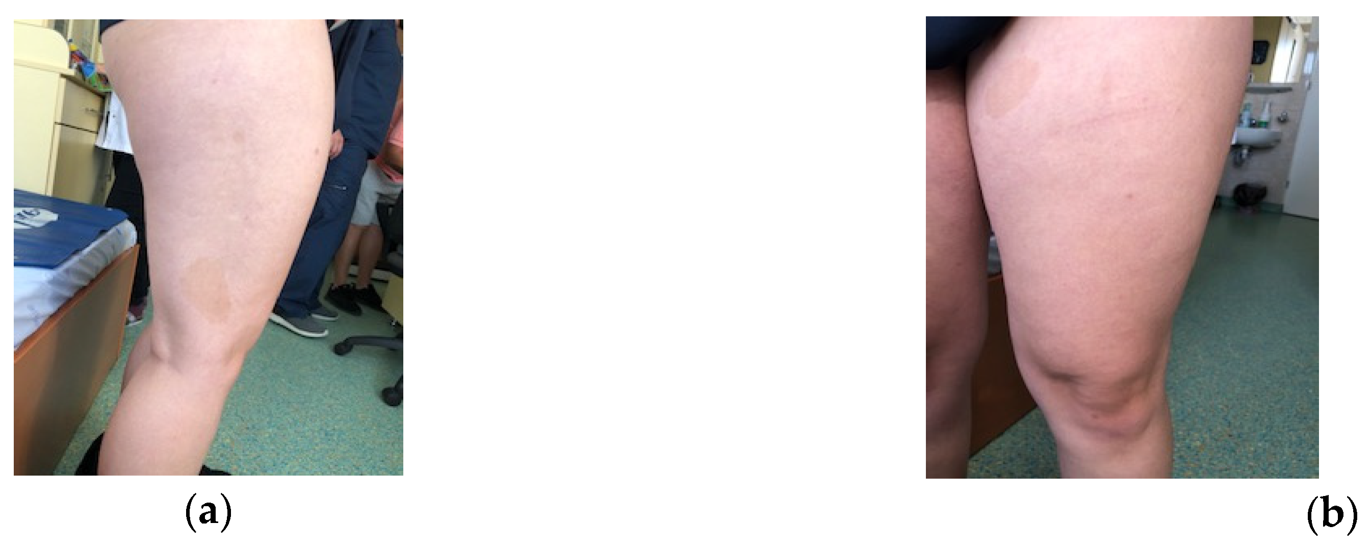 Preprints 99380 g003