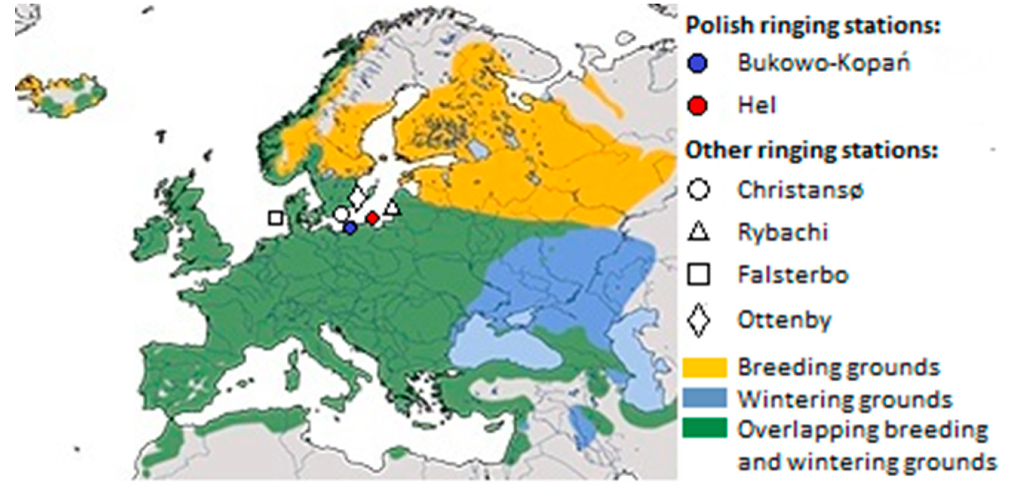 Preprints 74827 g001