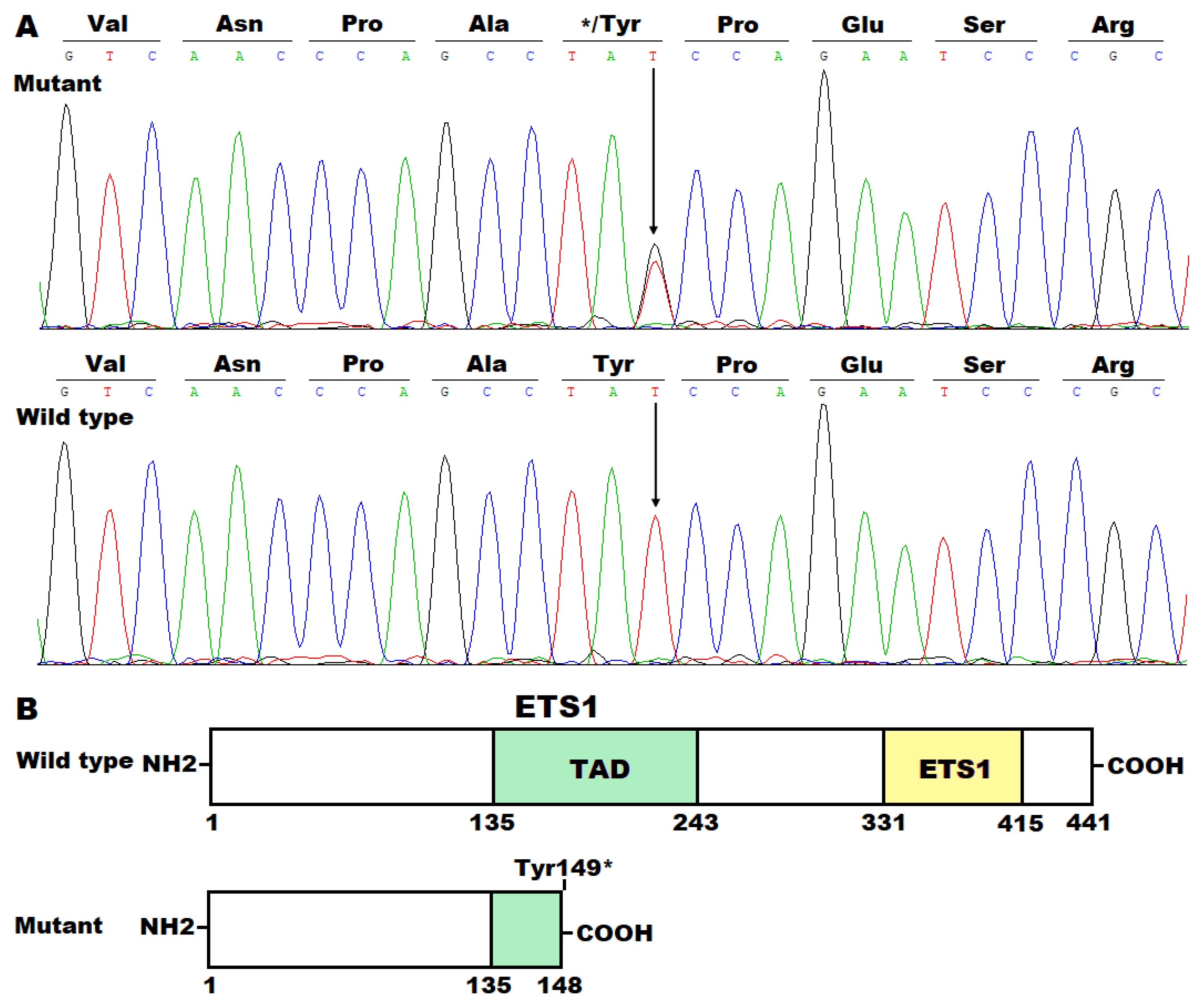 Preprints 167189 g002