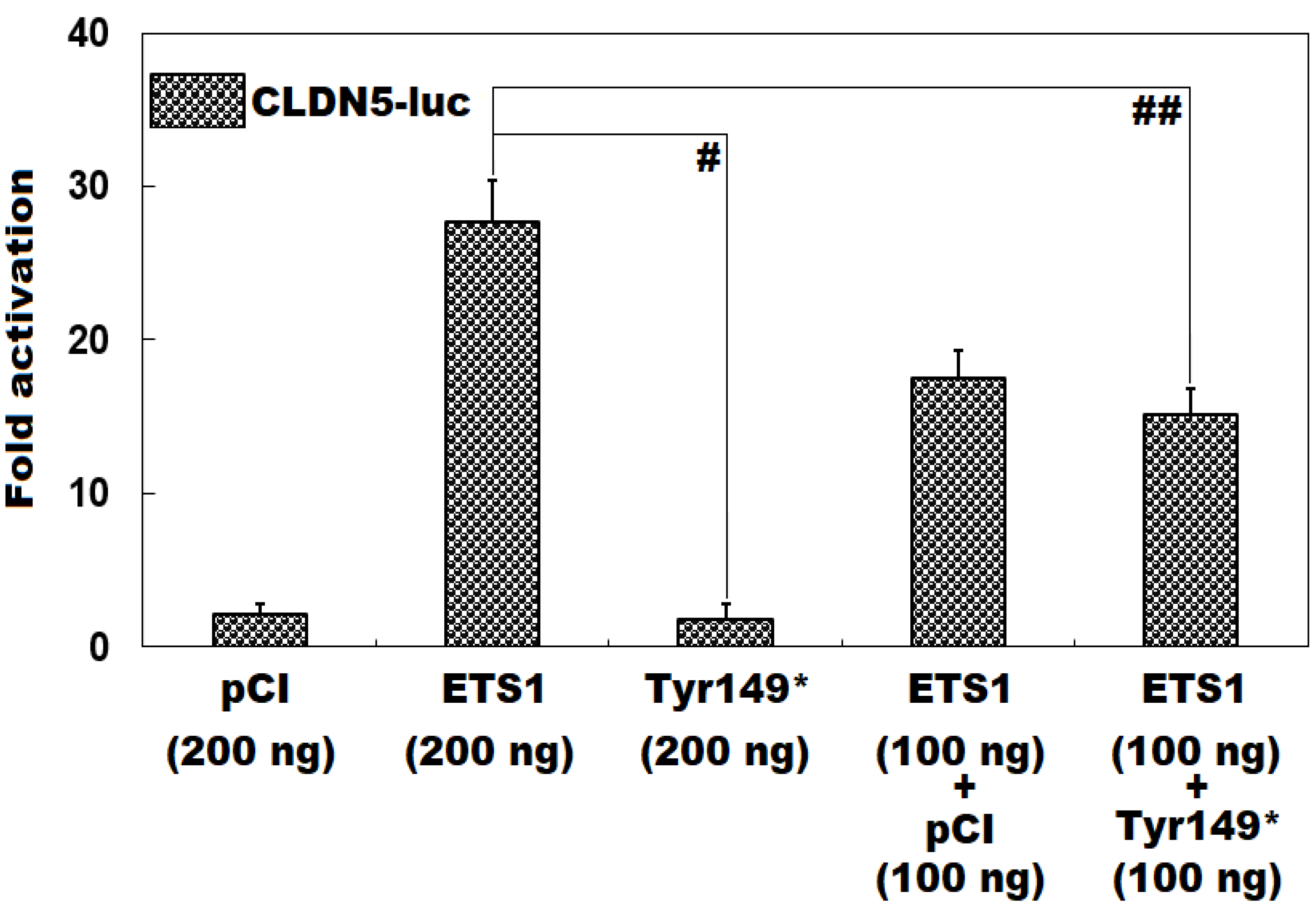 Preprints 167189 g003