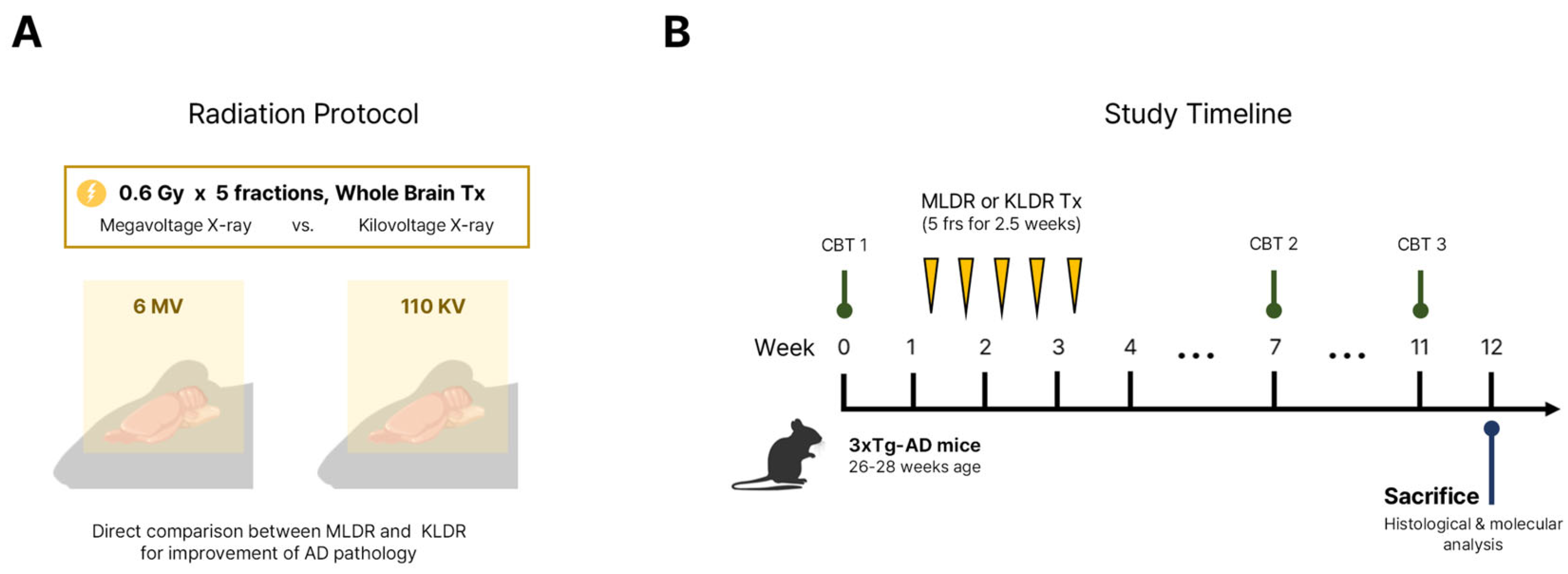 Preprints 206124 g001