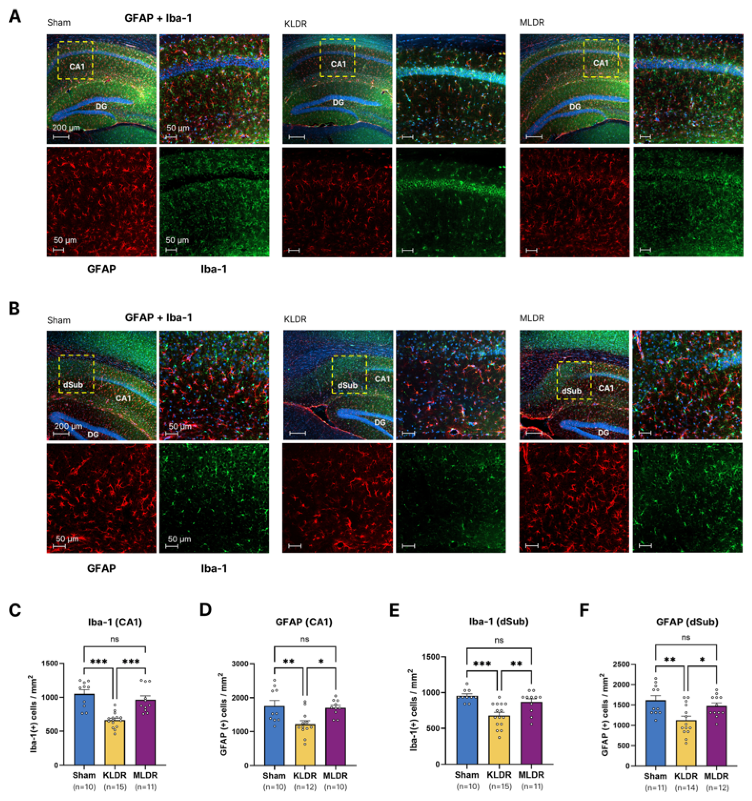 Preprints 206124 g003