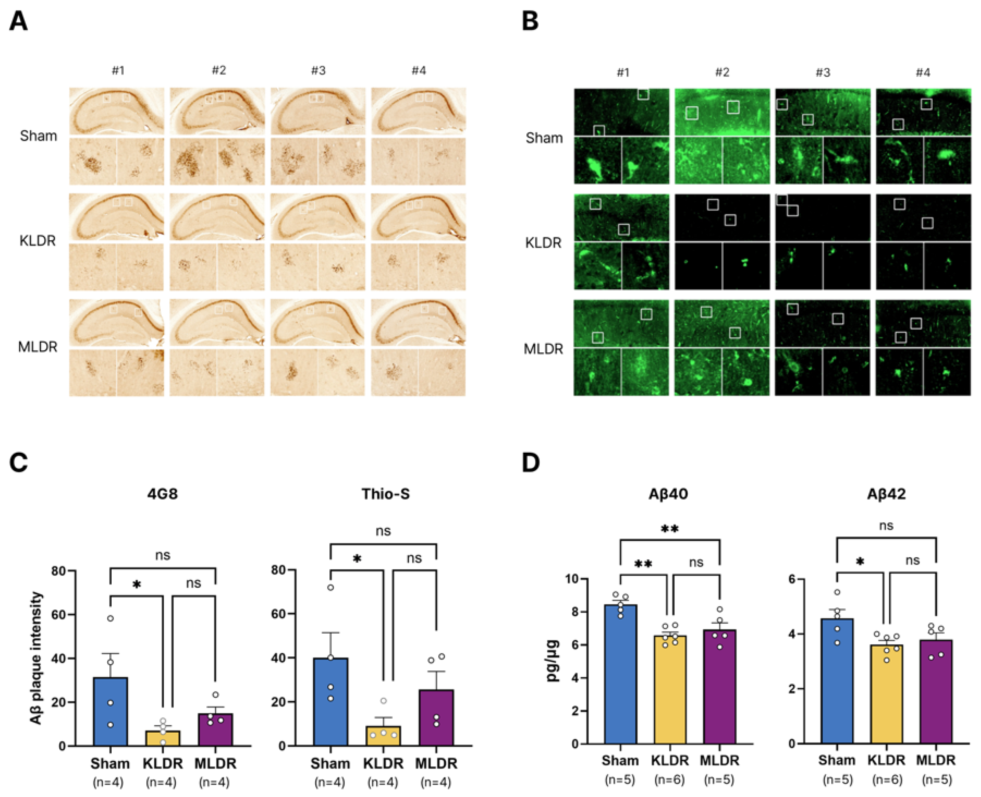 Preprints 206124 g004