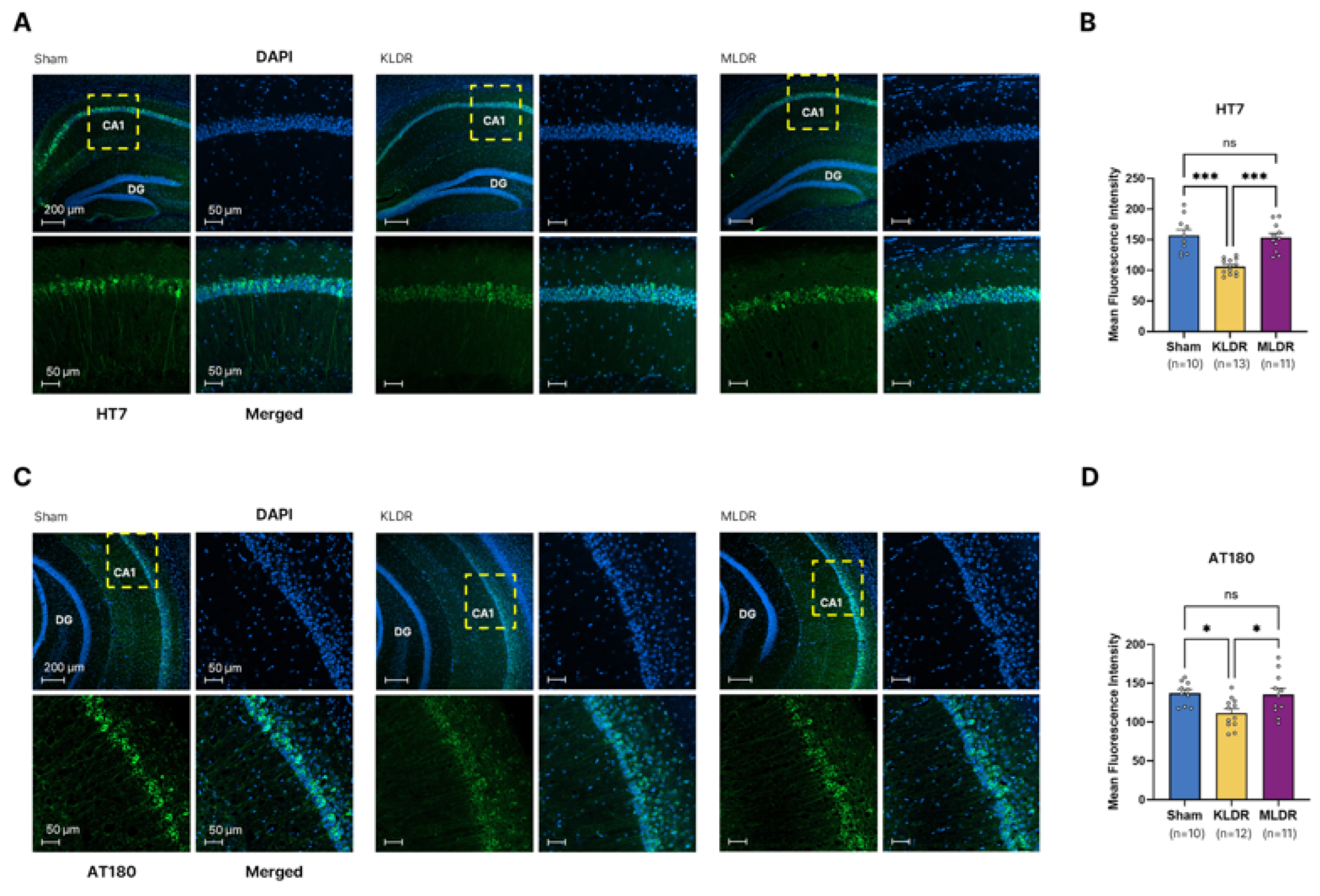 Preprints 206124 g005