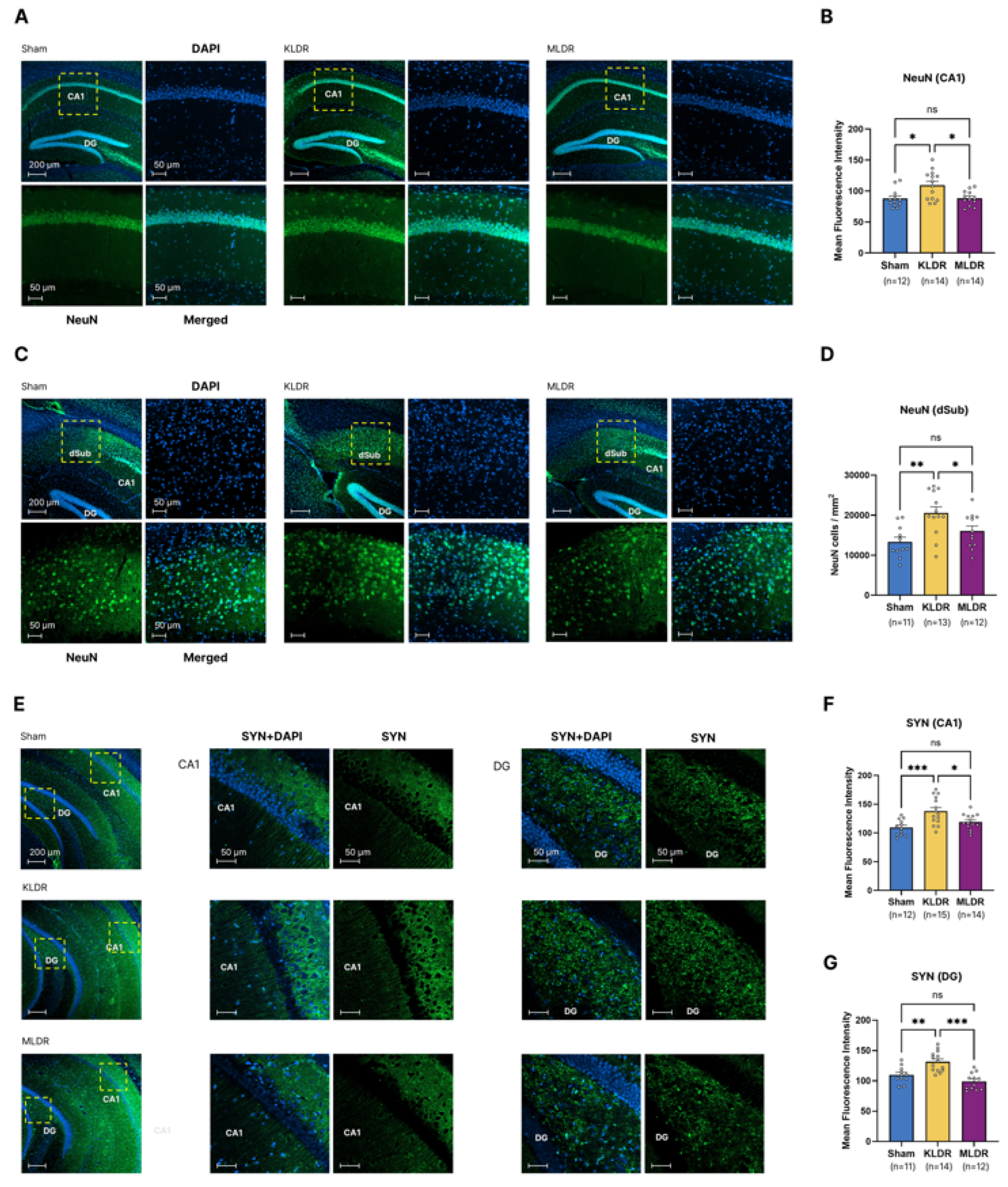 Preprints 206124 g006