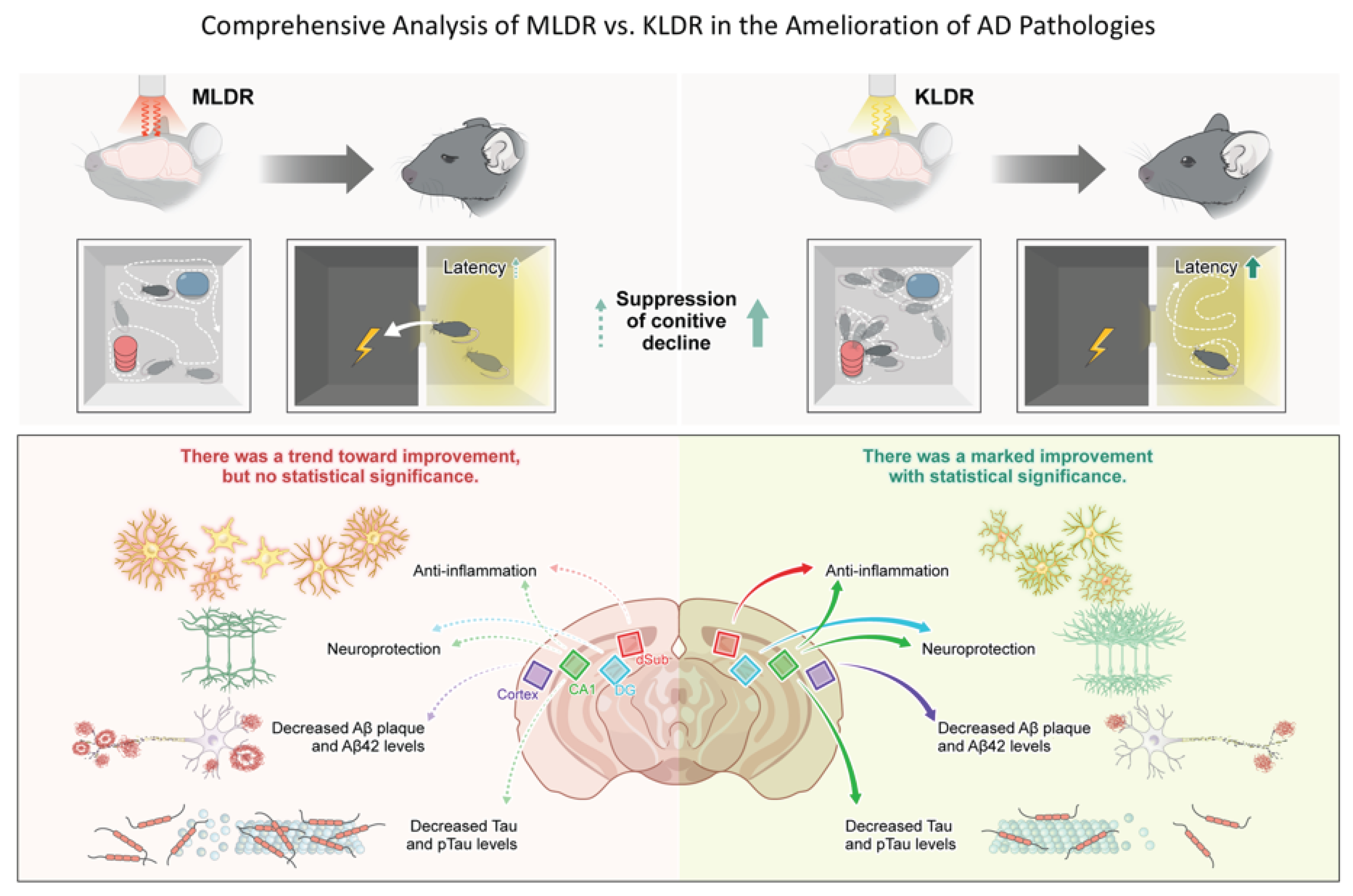 Preprints 206124 g007