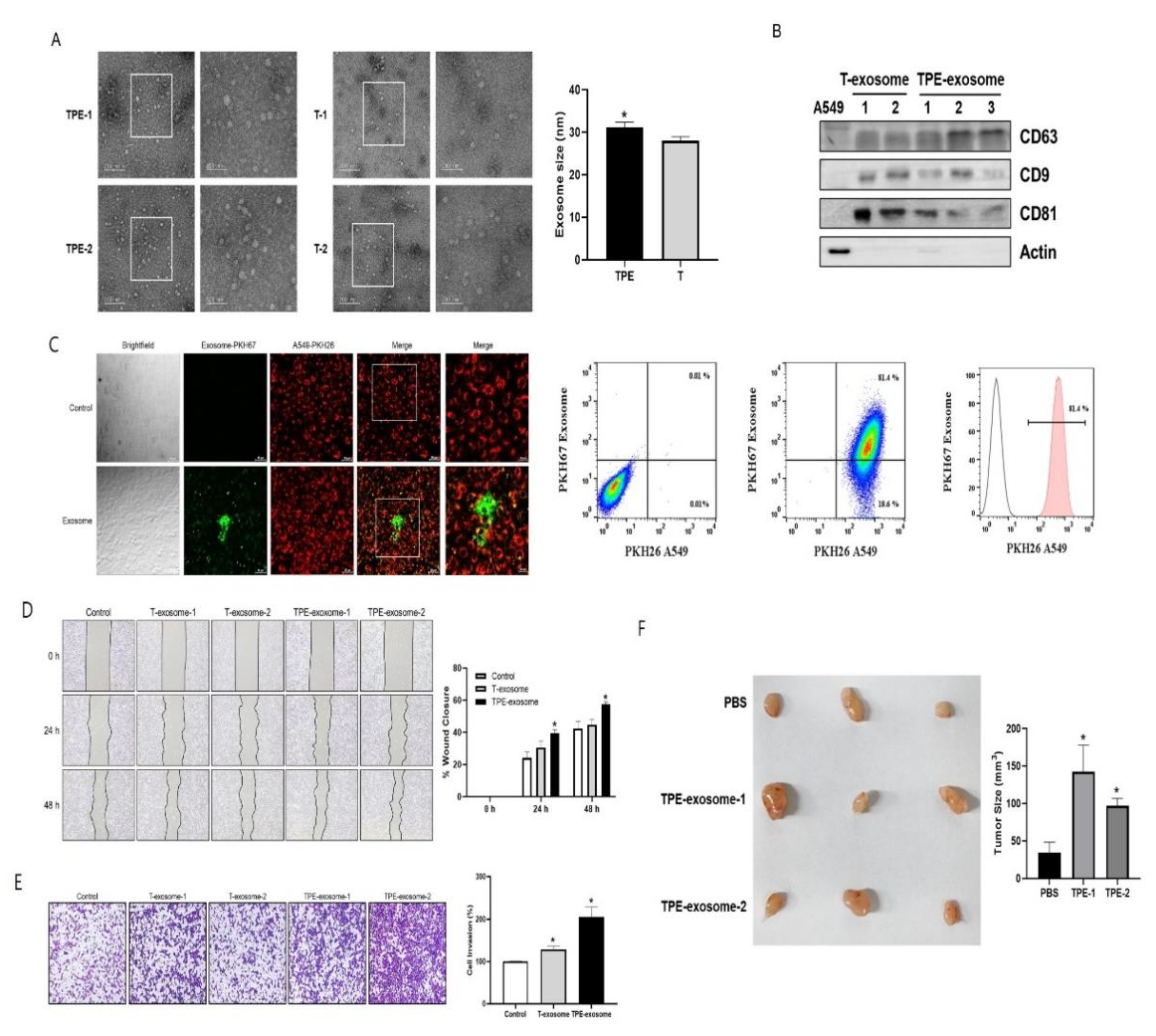 Preprints 115319 g001
