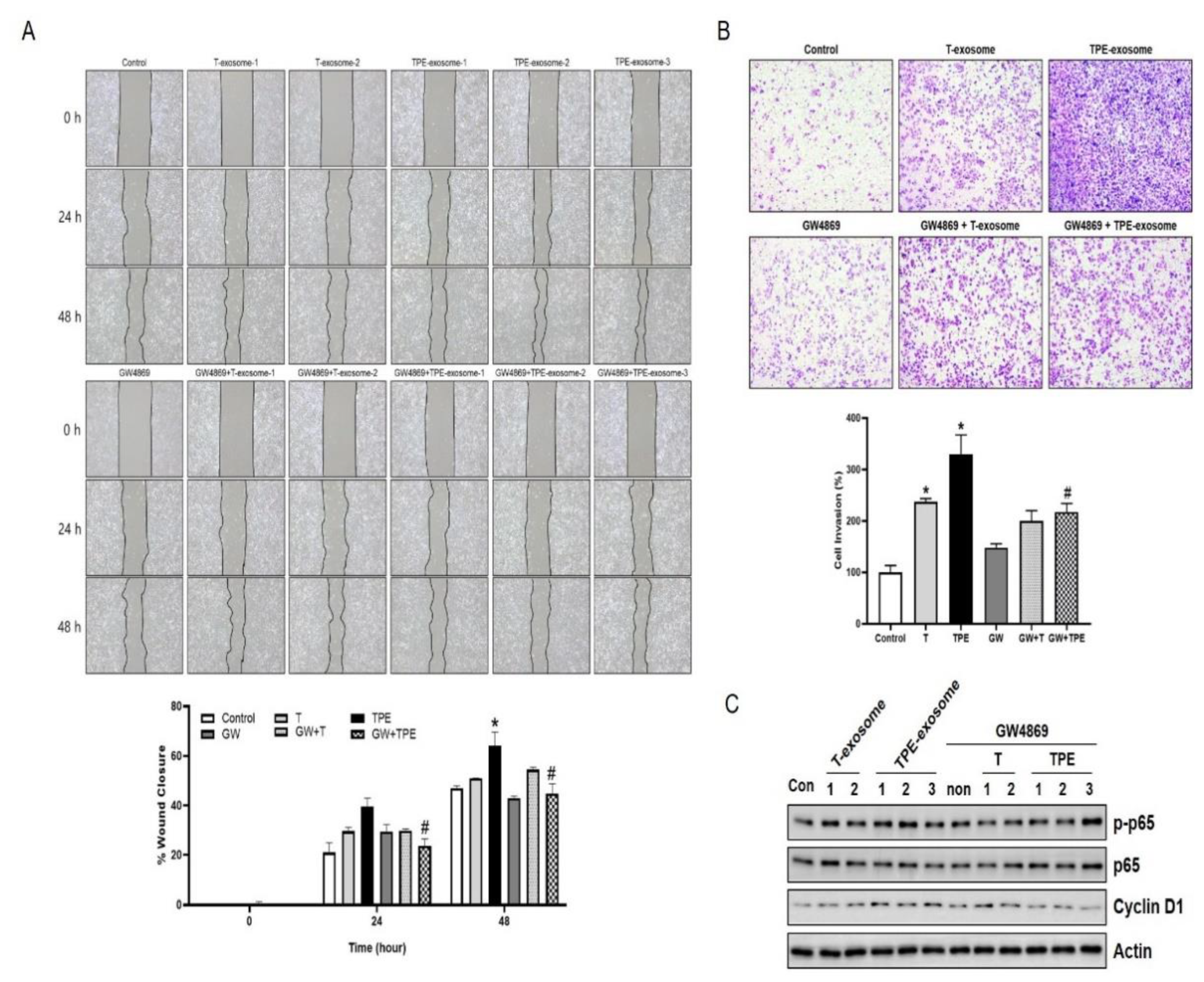 Preprints 115319 g003