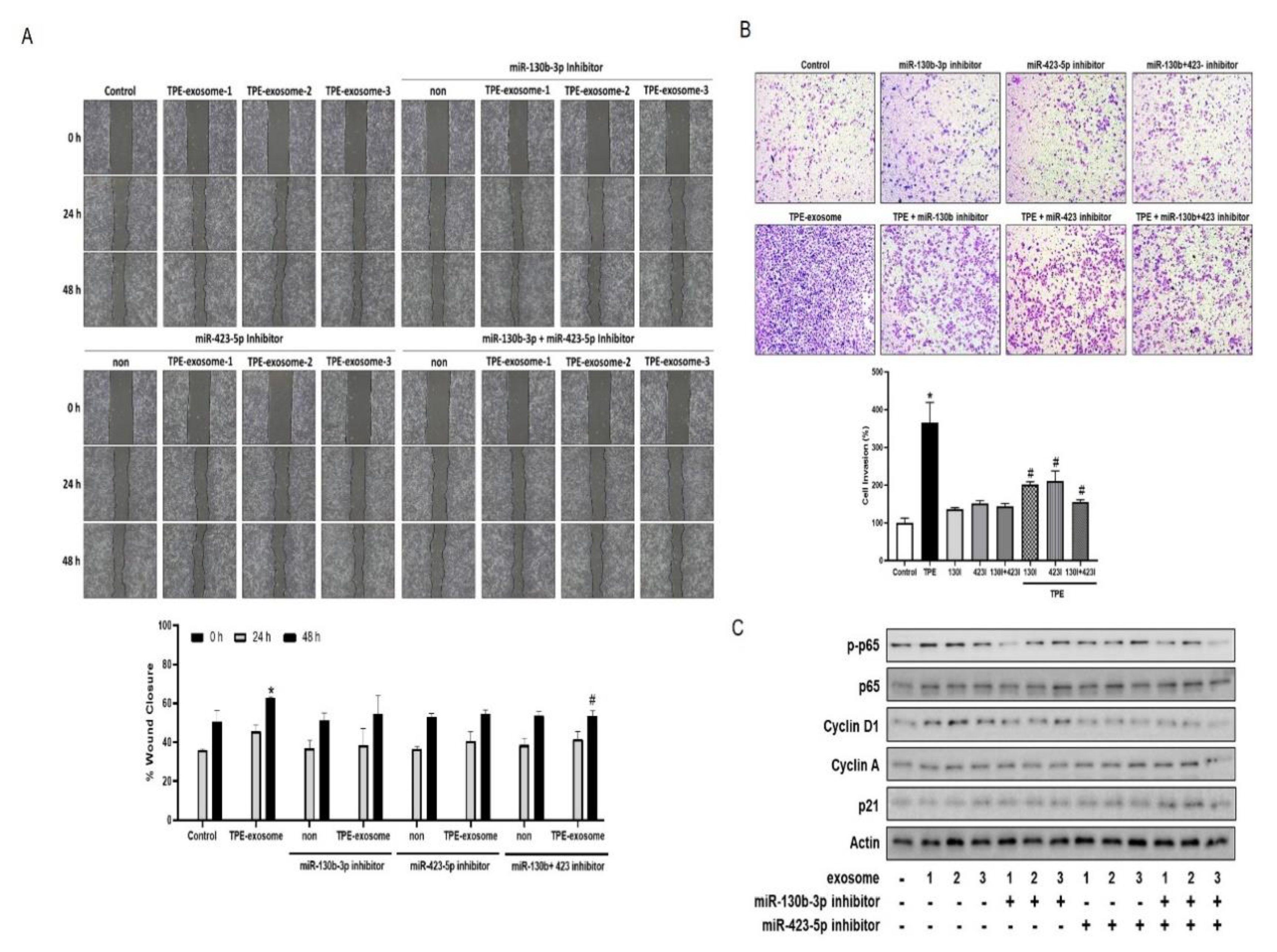 Preprints 115319 g004