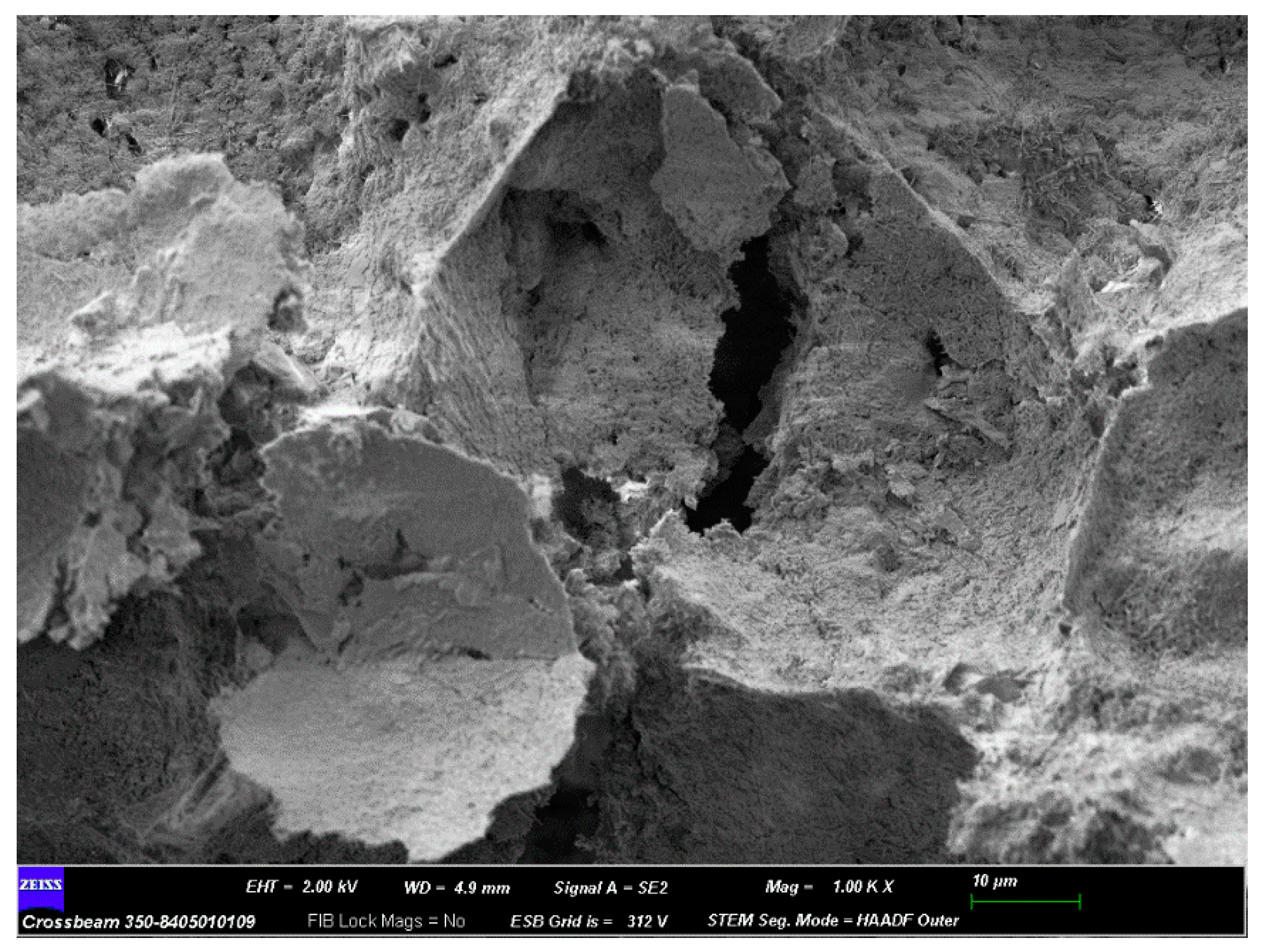 Preprints 159523 g002