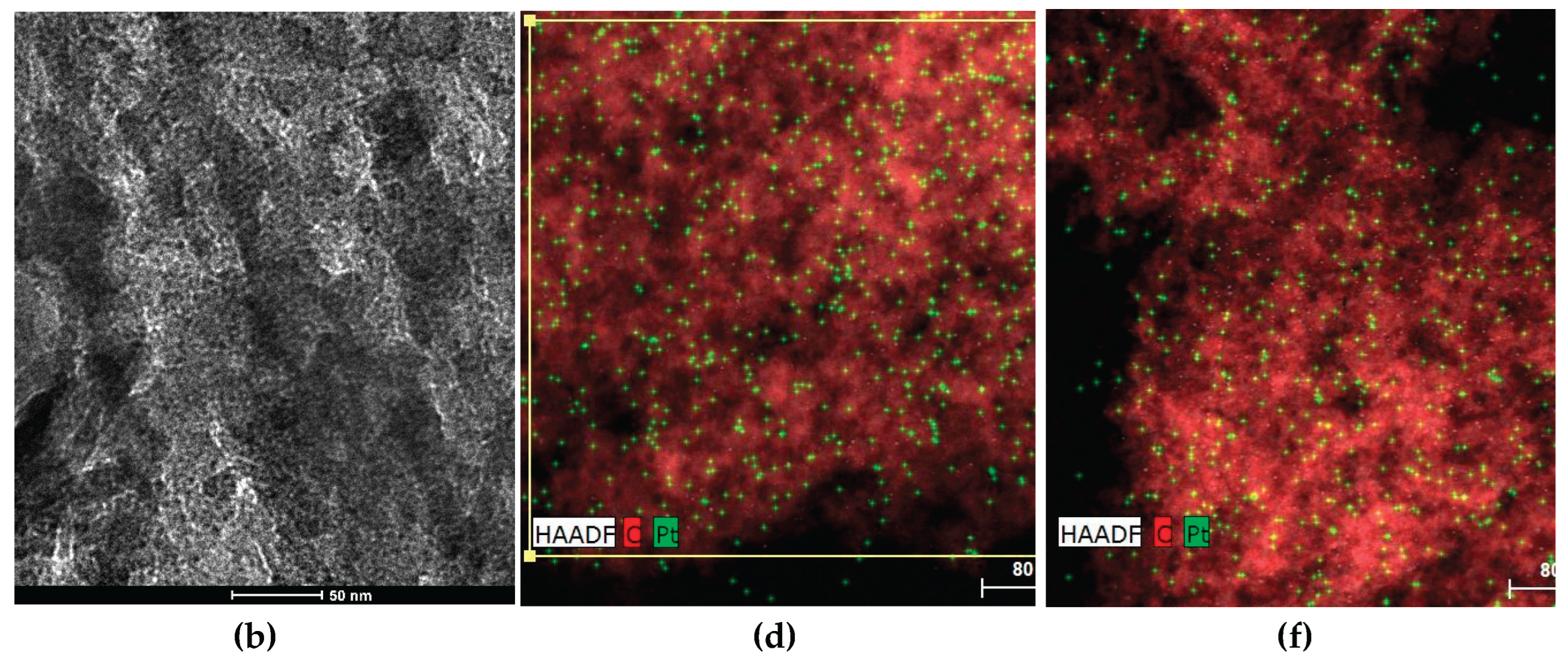 Preprints 161800 g001b