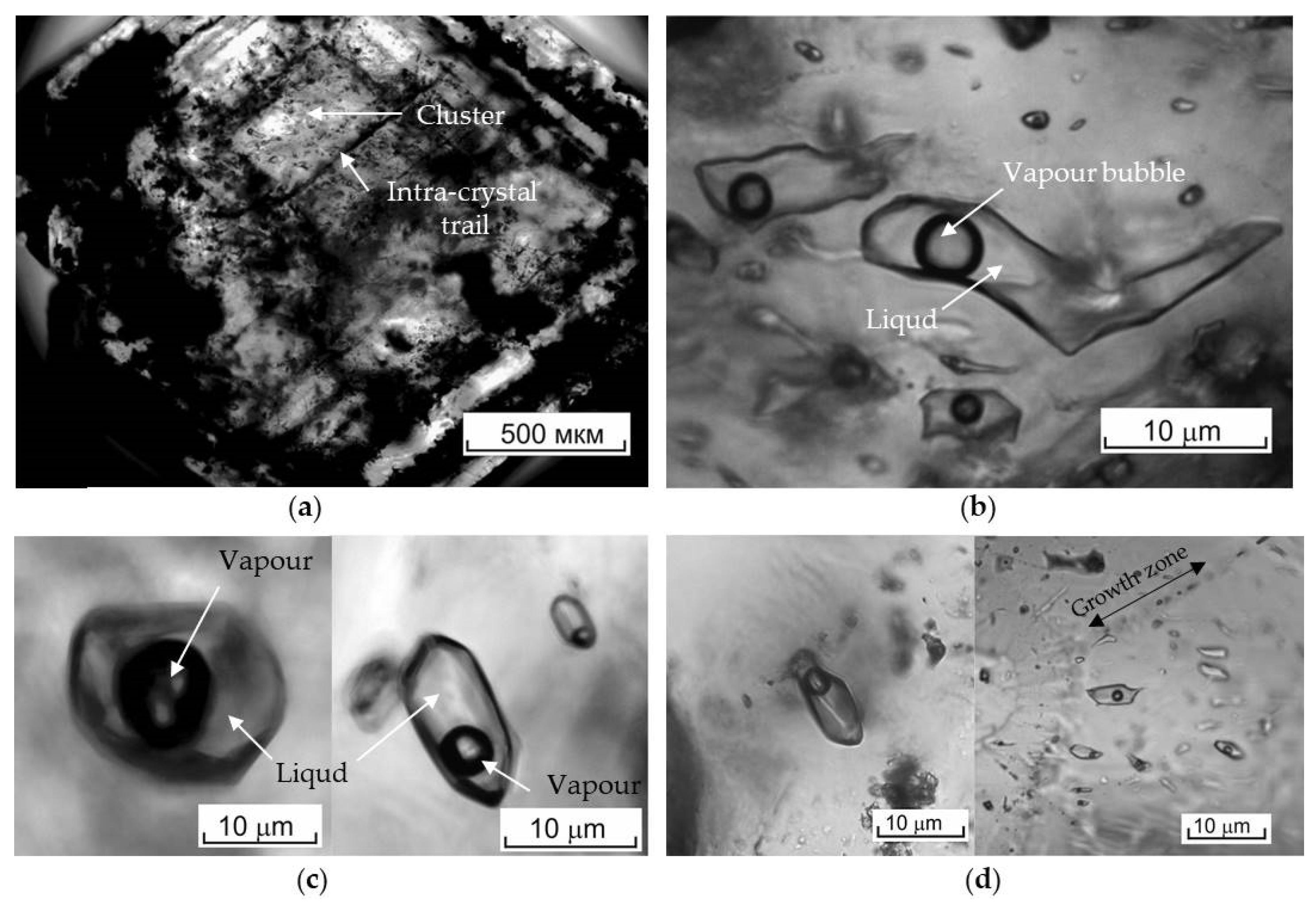 Preprints 78773 g002