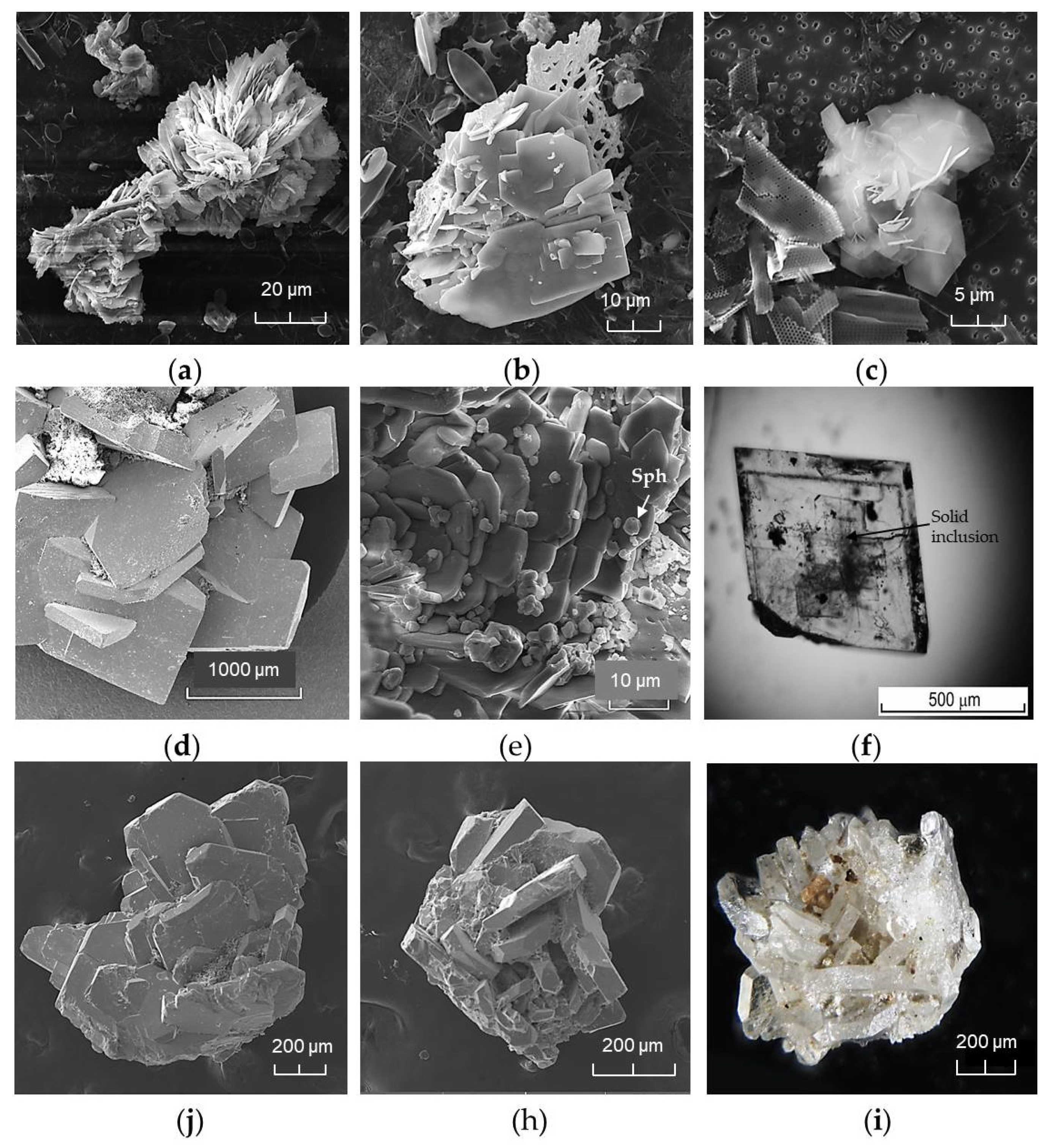 Preprints 78773 g007