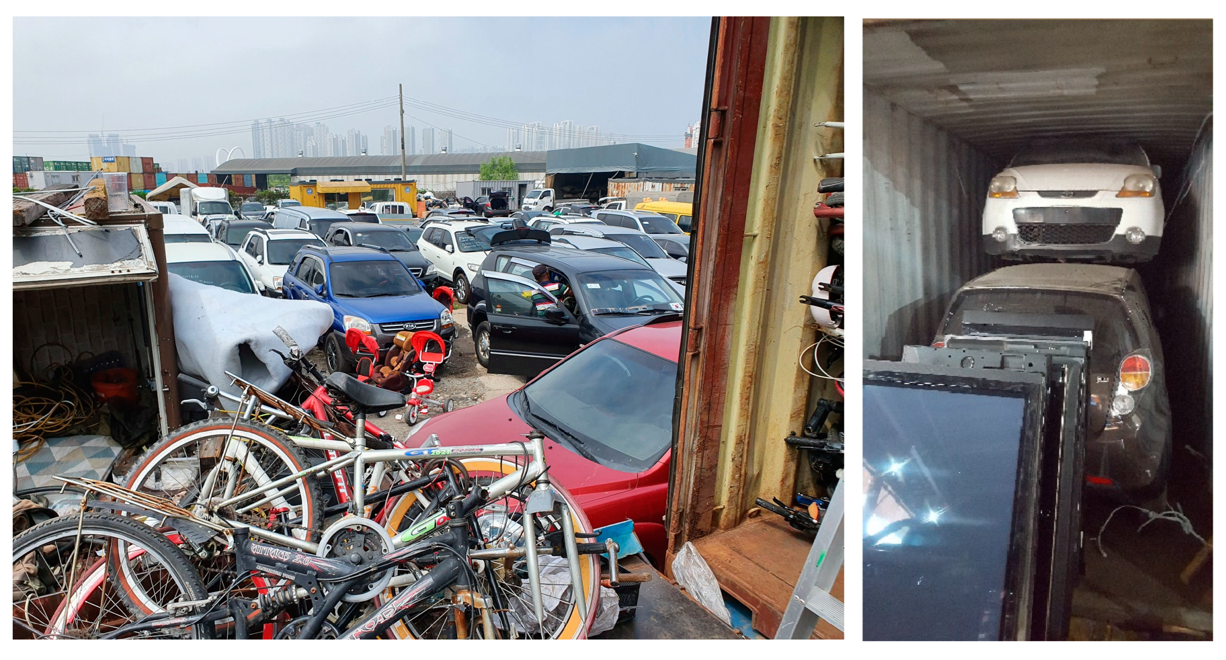 Preprints 153857 g002