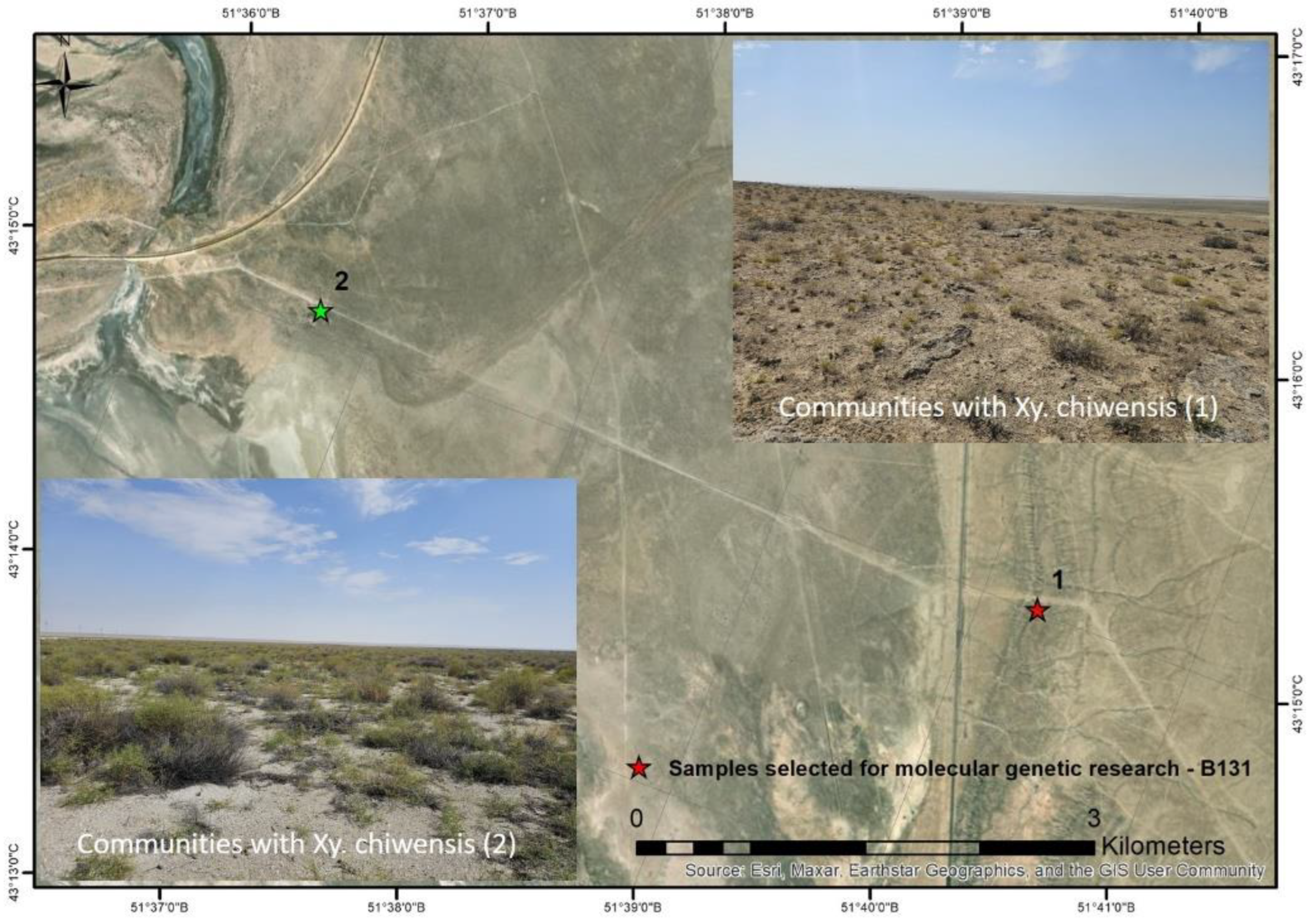 Preprints 161556 g004