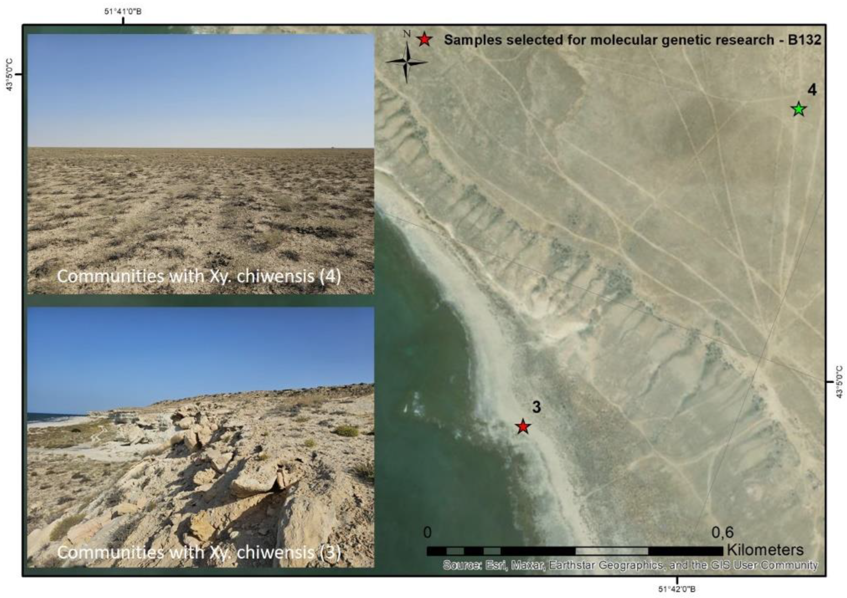 Preprints 161556 g005