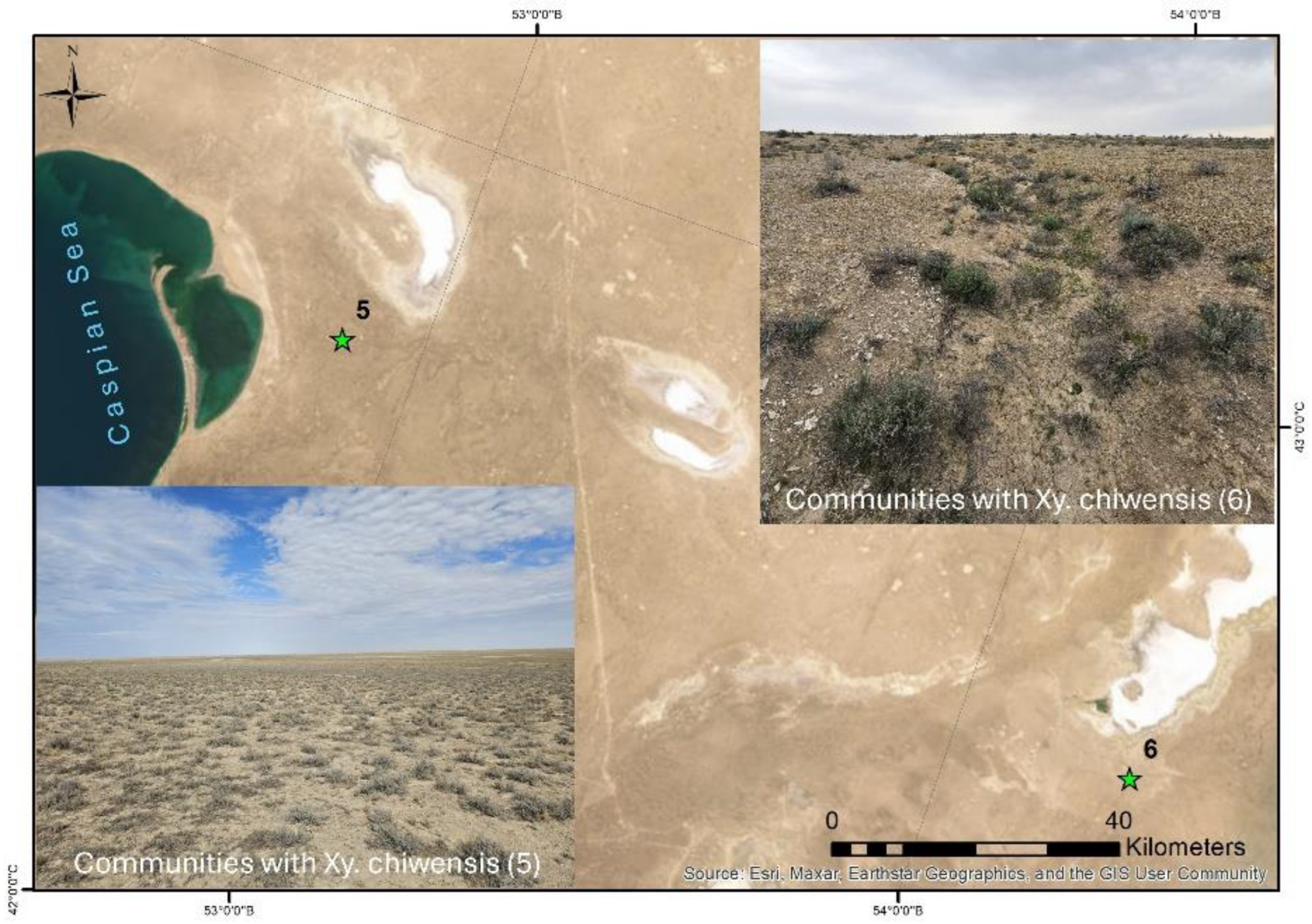 Preprints 161556 g006