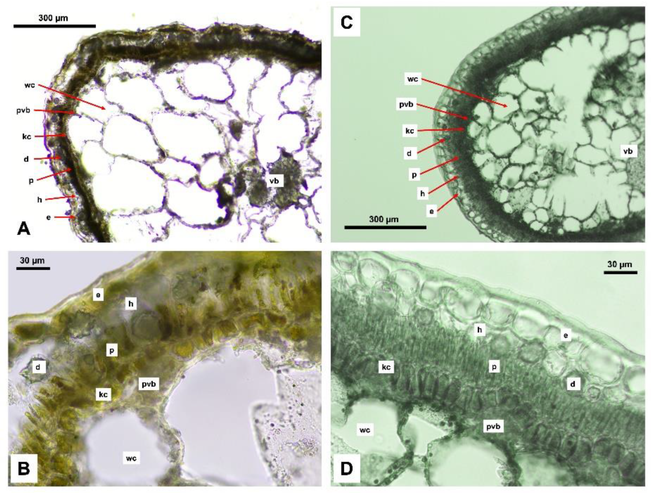 Preprints 161556 g011